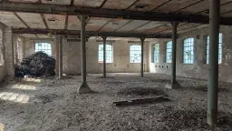 Villa op 1.8 ha perceel, tuin, bos, sauna, bron + bedrijf in Sonneberg - Duitsland