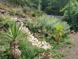 Villa op 1.8 ha perceel, tuin, bos, sauna, bron + bedrijf in Sonneberg - Duitsland