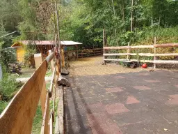 Villa op 1.8 ha perceel, tuin, bos, sauna, bron + bedrijf in Sonneberg - Duitsland