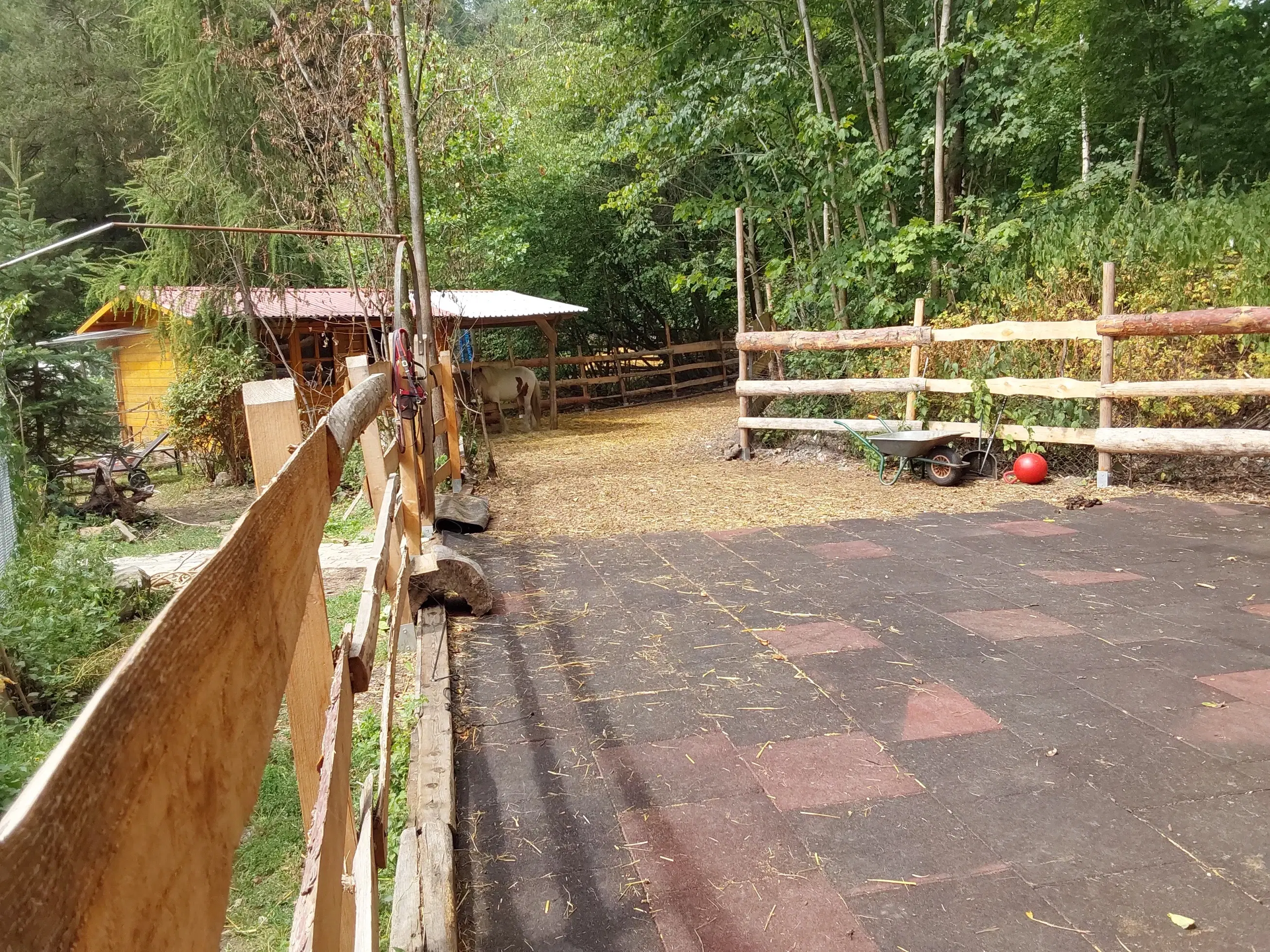 Villa op 1.8 ha perceel, tuin, bos, sauna, bron + bedrijf in Sonneberg - Duitsland