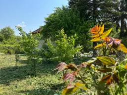 Galovo, Ulitsa Kiril & Metodi 31