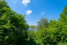 68.678 m2 Bosgrond in de regio Vidin - Bulgarije