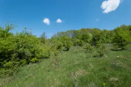 68.678 m2 Bosgrond in de regio Vidin - Bulgarije