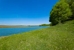 68.678 m2 Bosgrond in de regio Vidin - Bulgarije