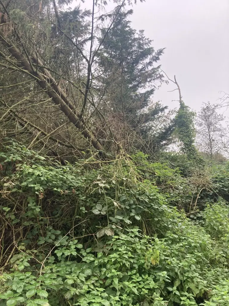 Hoeven, Oude Antwerpsepostbaan nabij nr. 106/108