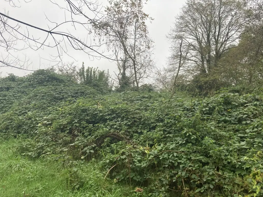 Hoeven, Oude Antwerpsepostbaan nabij nr. 106/108