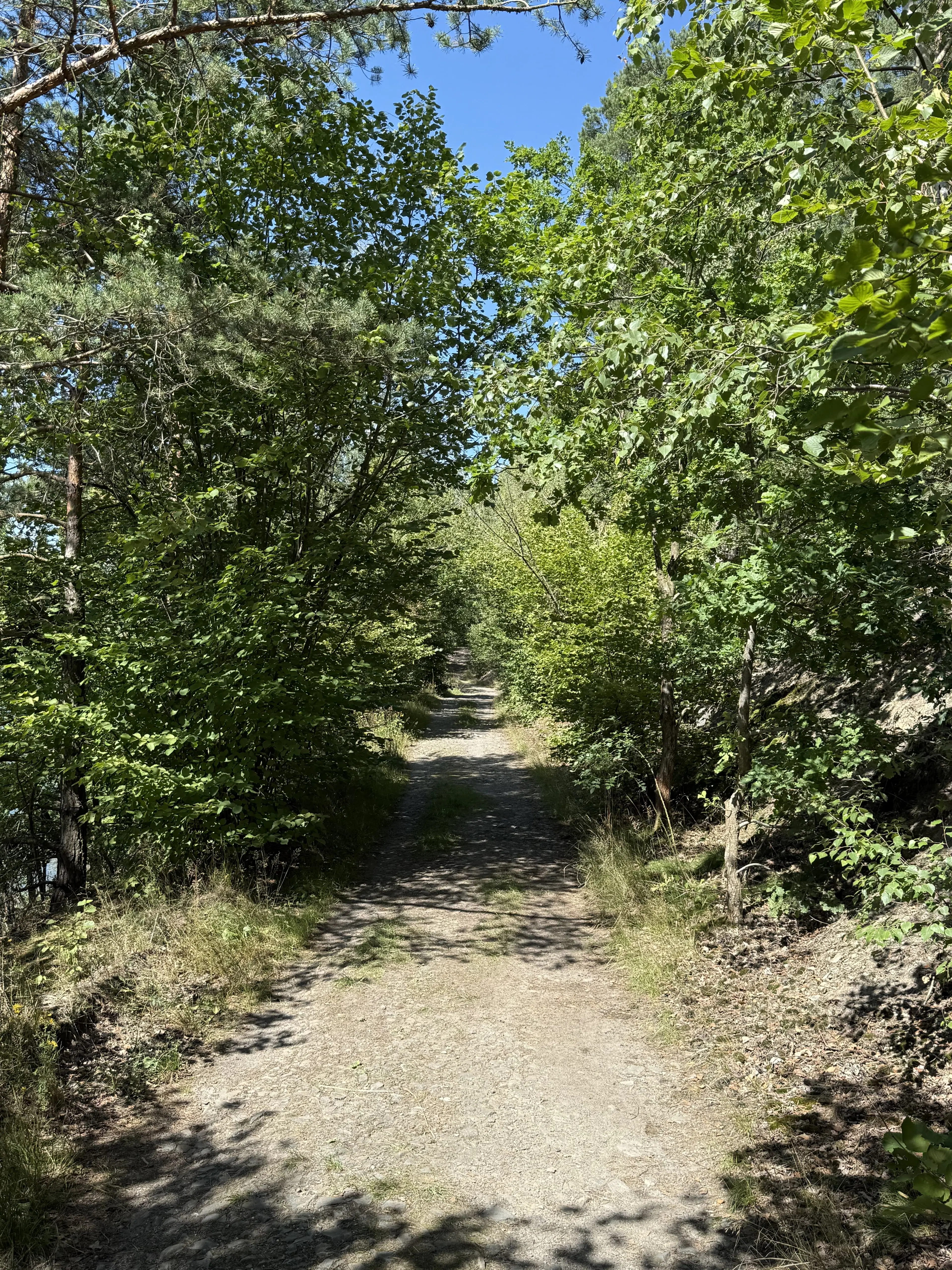 Perceel aan het meer van totaal 472 m² naast Zeulenroda - Duitsland