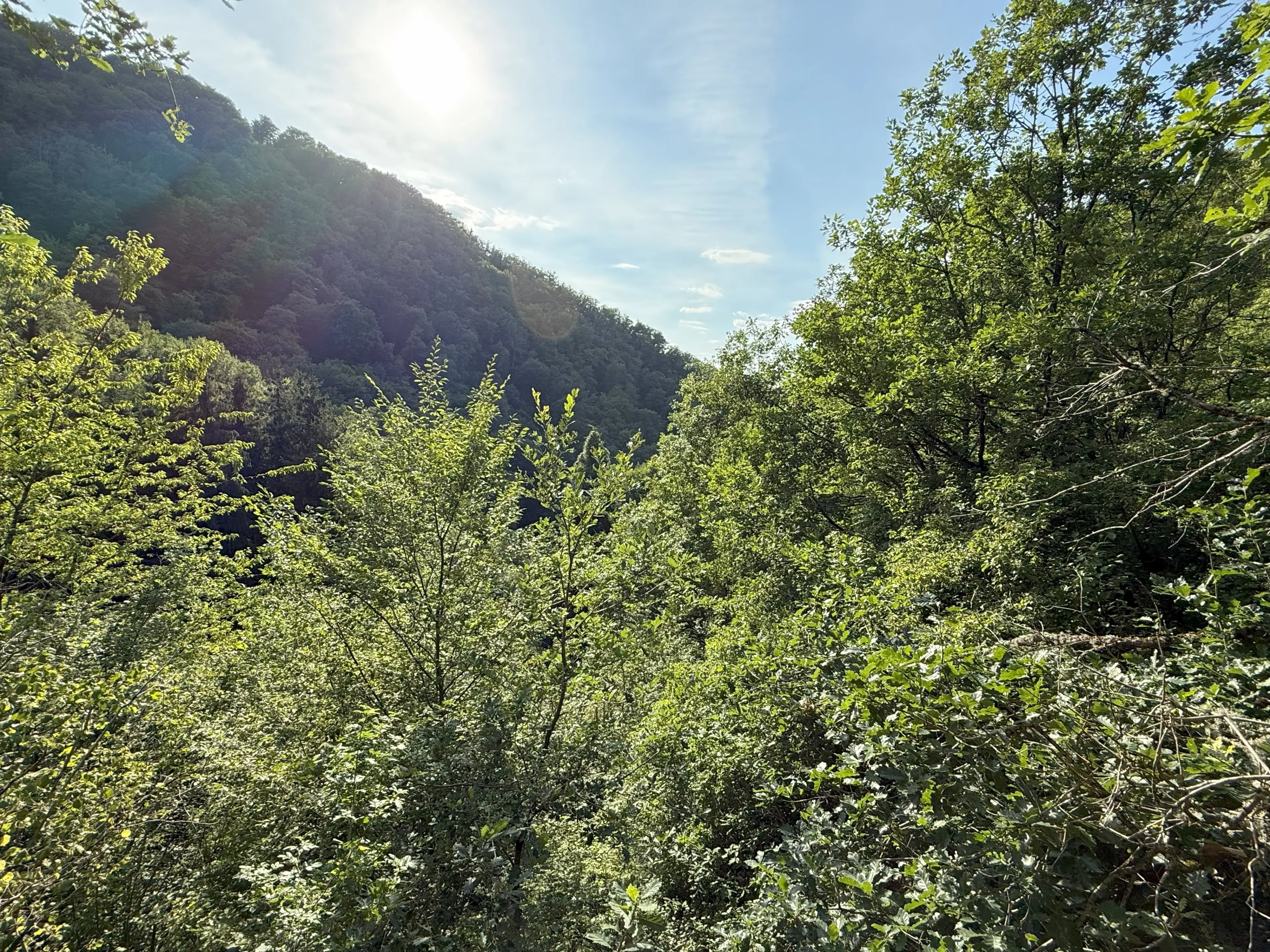 370 m² bosgrond in Cochem - Duitsland