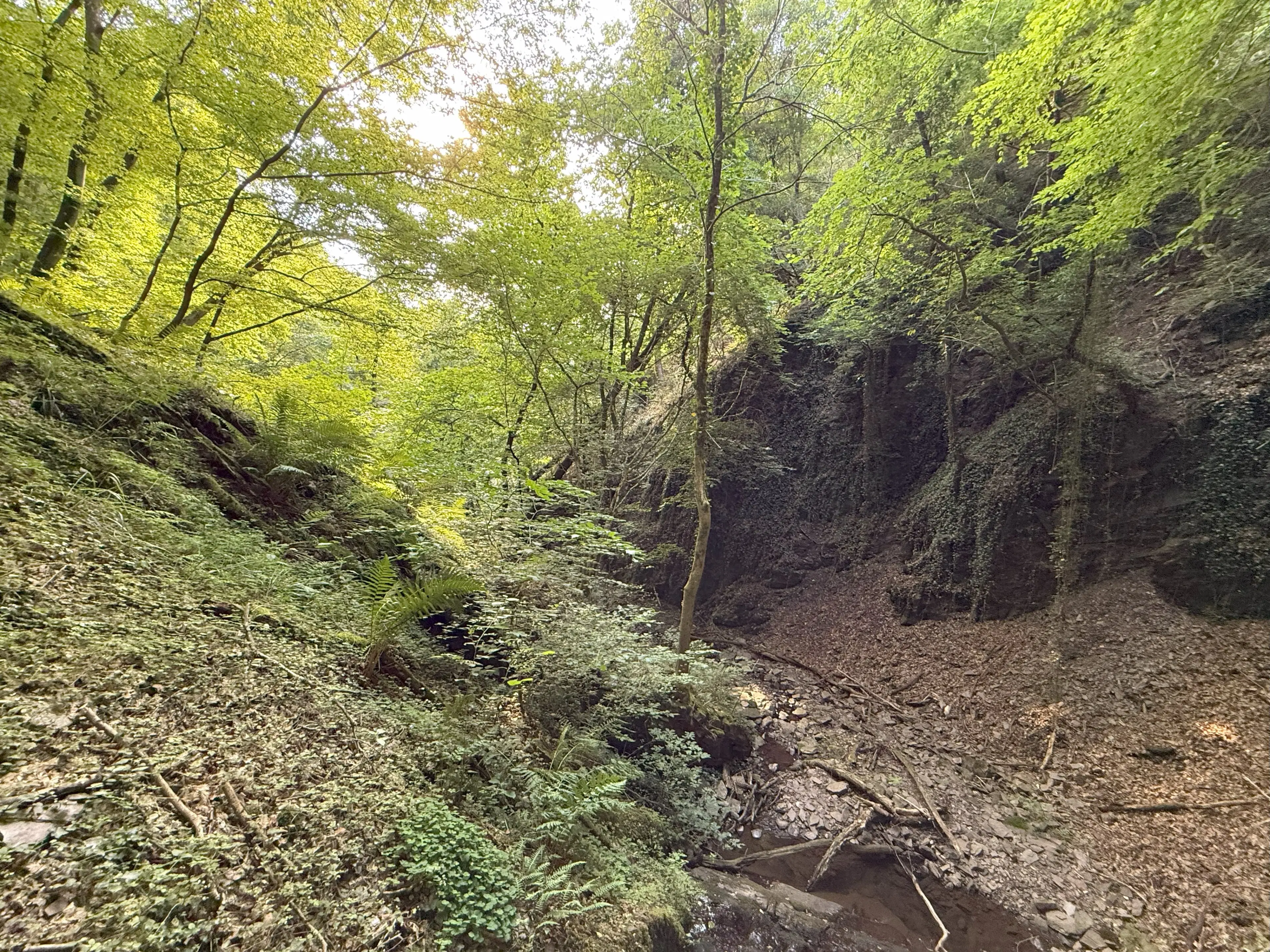 370 m² bosgrond in Cochem - Duitsland