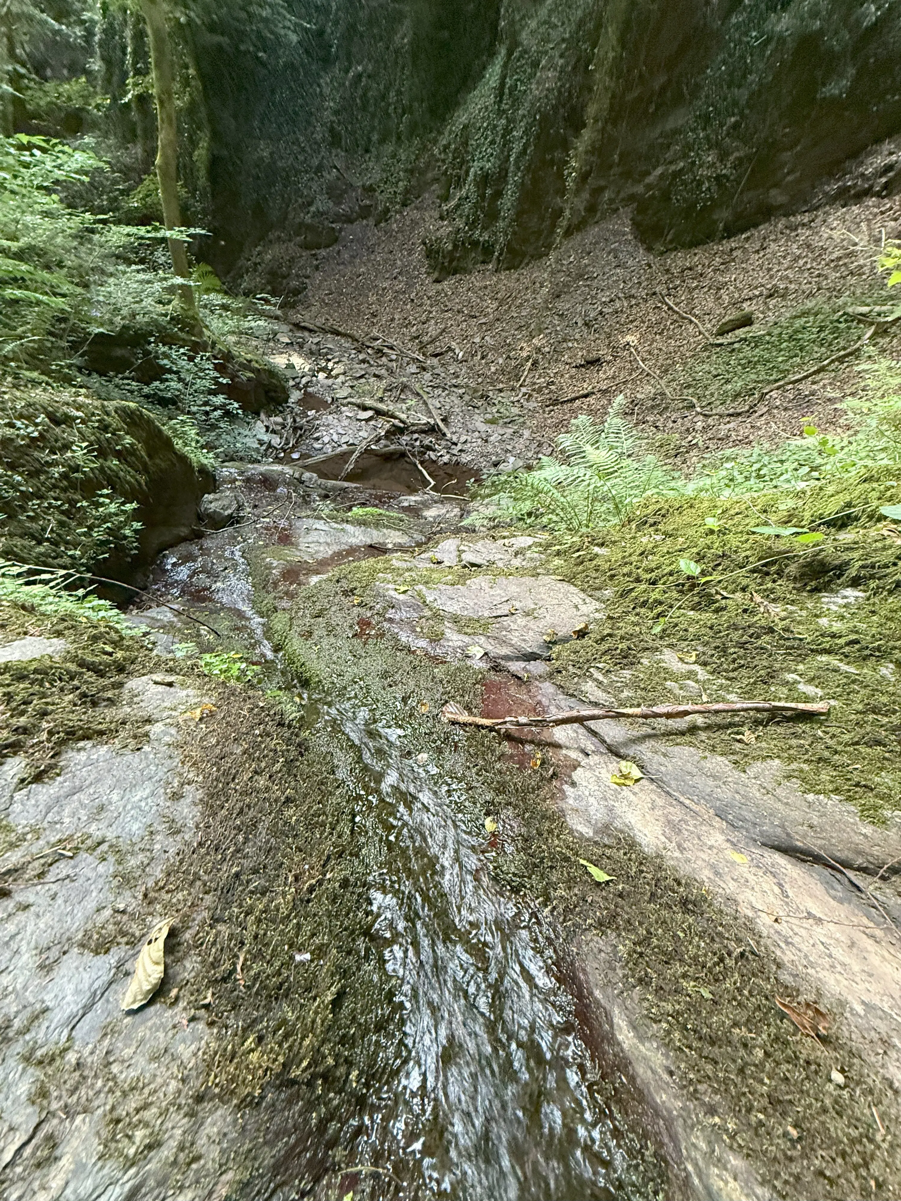 370 m² bosgrond in Cochem - Duitsland