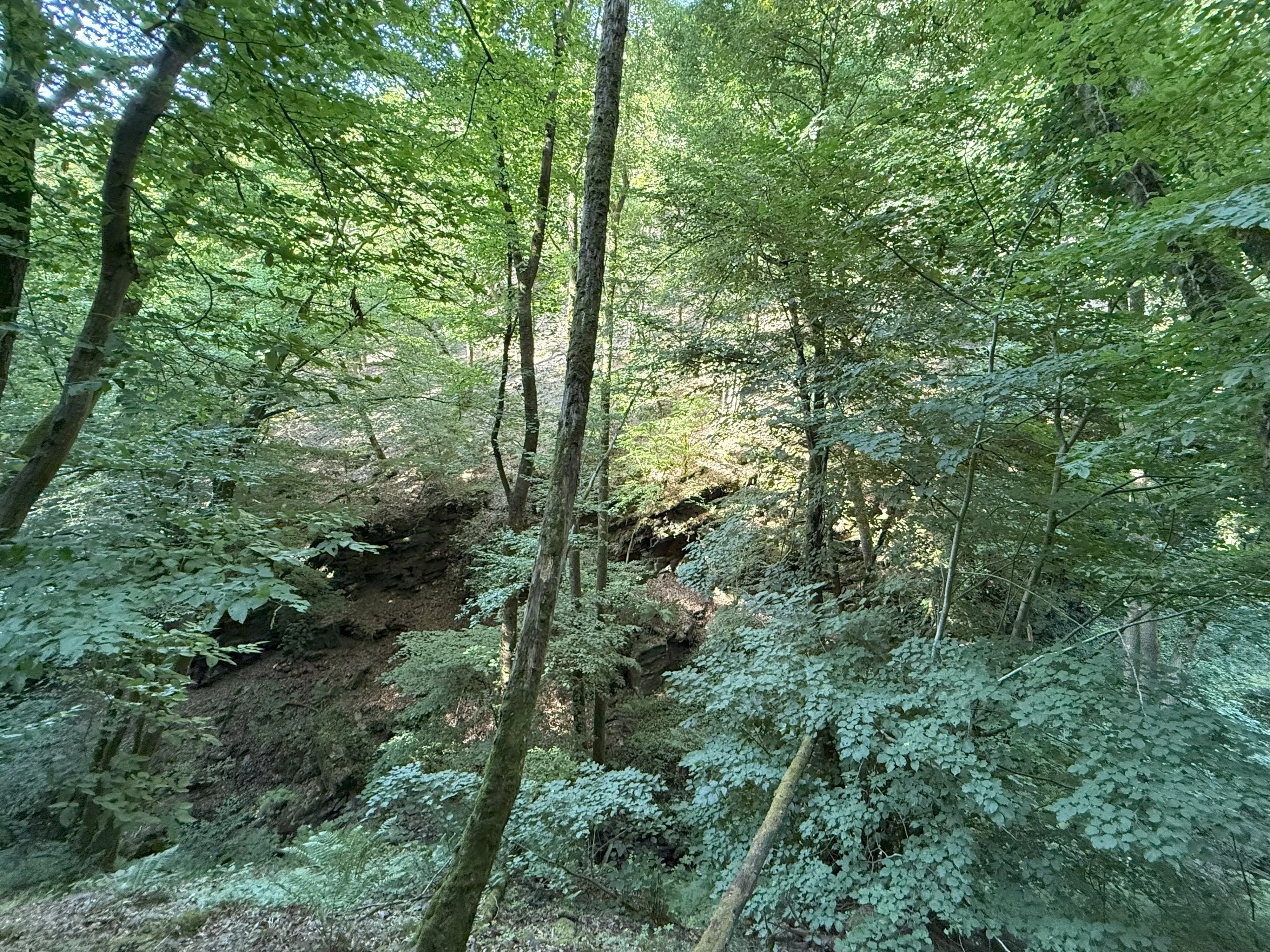 370 m² bosgrond in Cochem - Duitsland