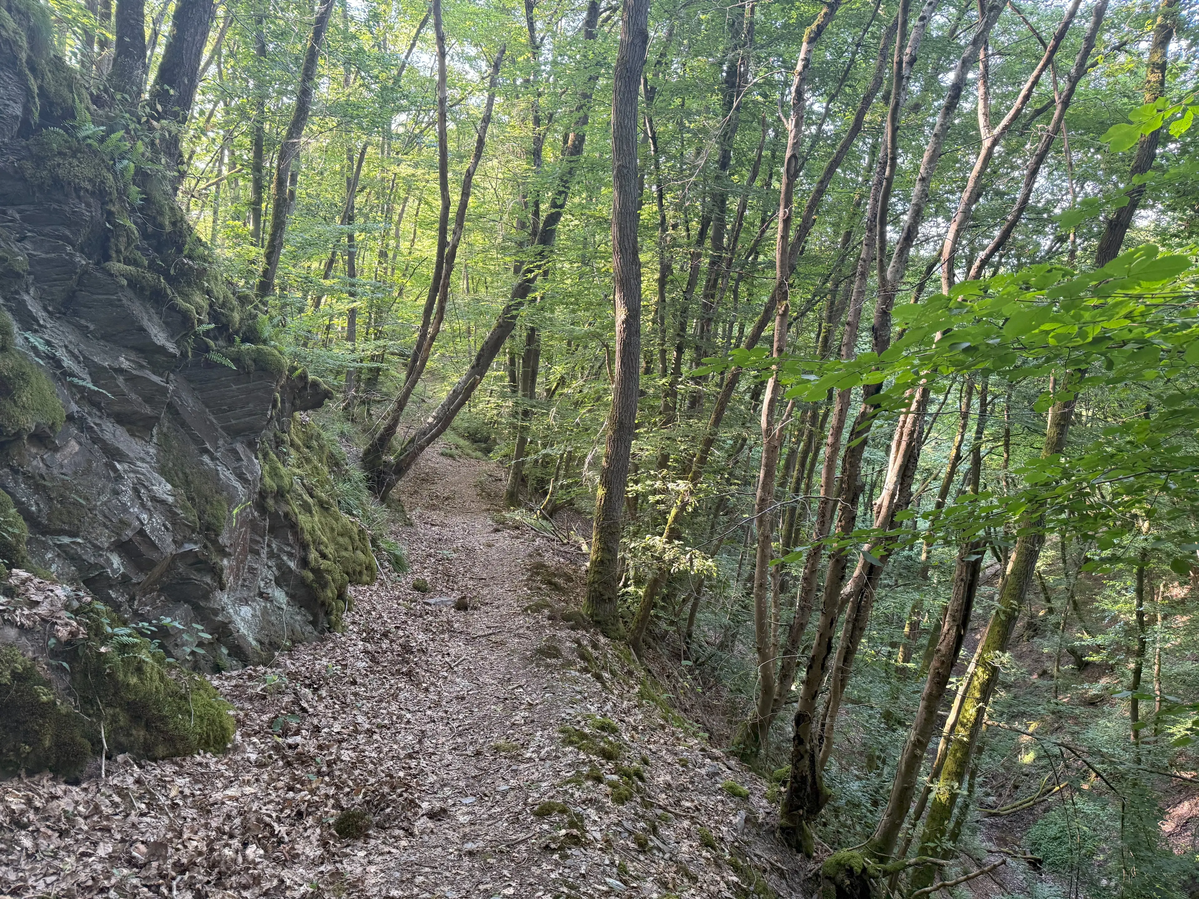 370 m² bosgrond in Cochem - Duitsland