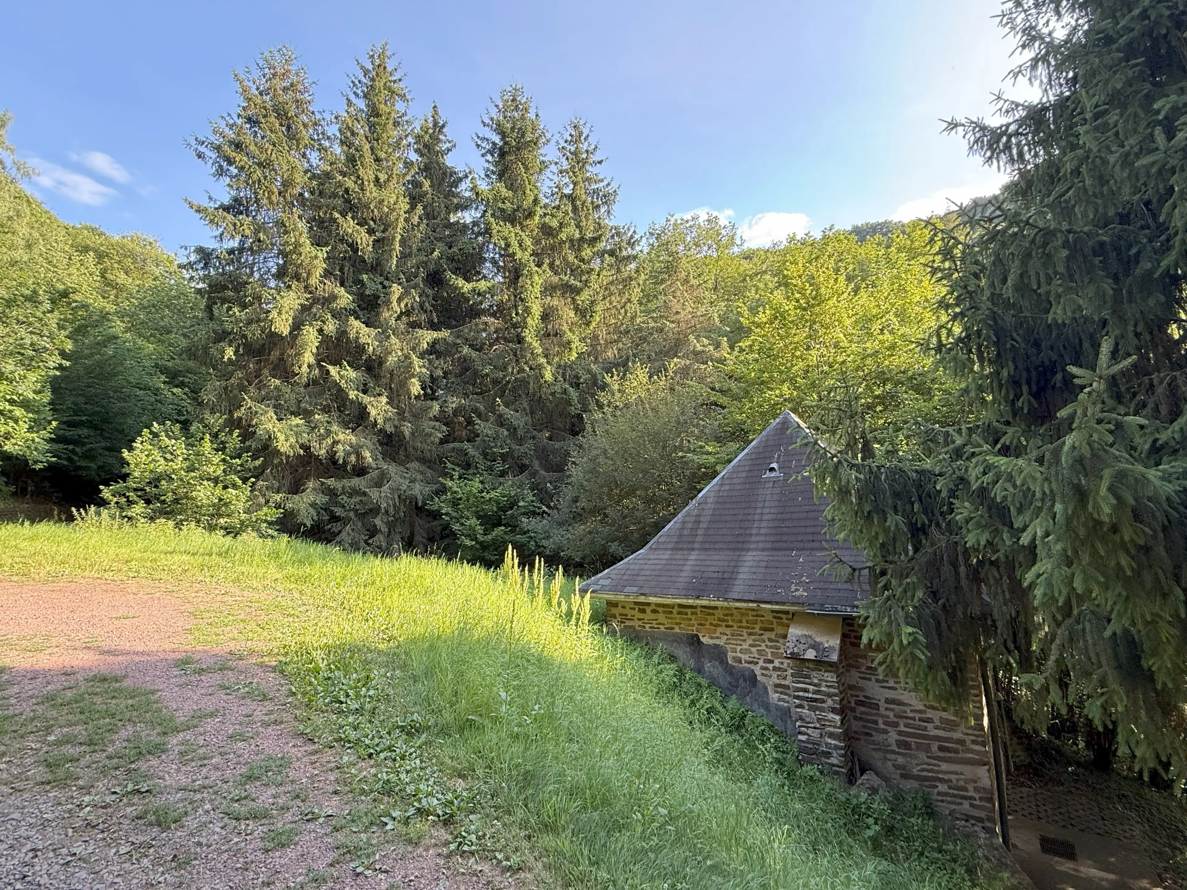 370 m² bosgrond in Cochem - Duitsland