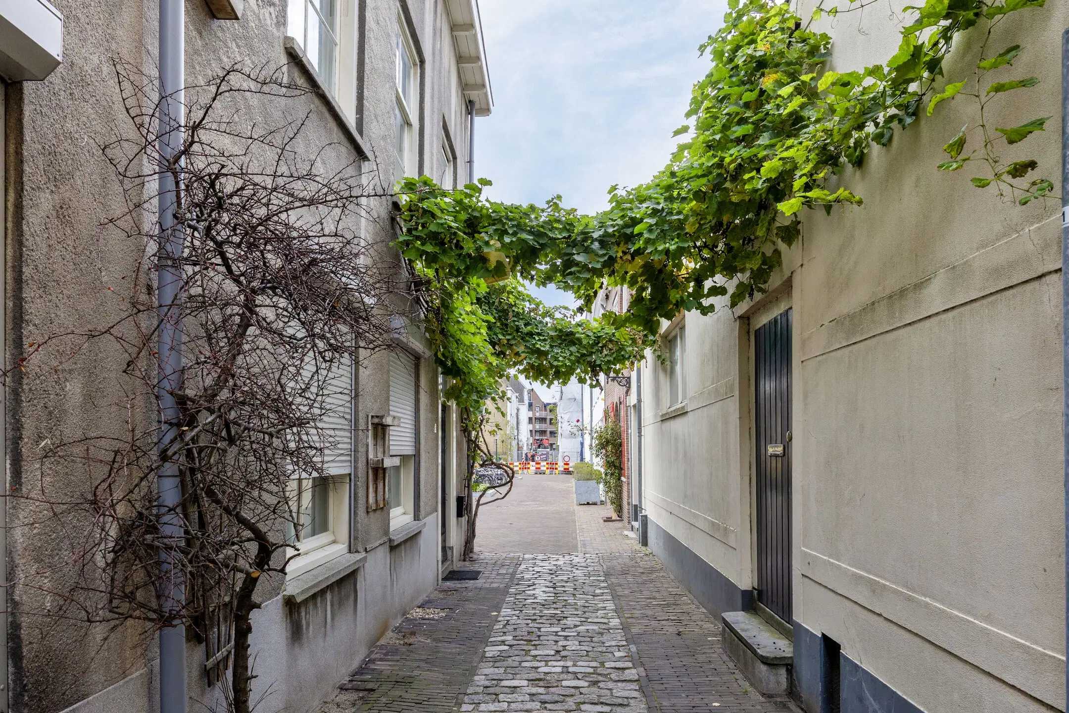 Schiedam, Westmolenstraat 5