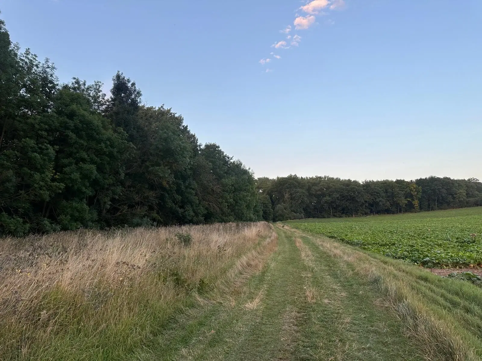 3.076 m² eigendomsperceel nabij Eischleben, Thüringen - Duitsland