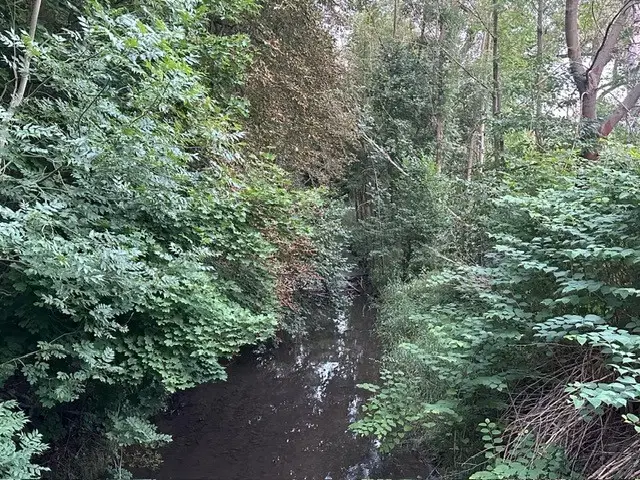 3.076 m² eigendomsperceel nabij Eischleben, Thüringen - Duitsland