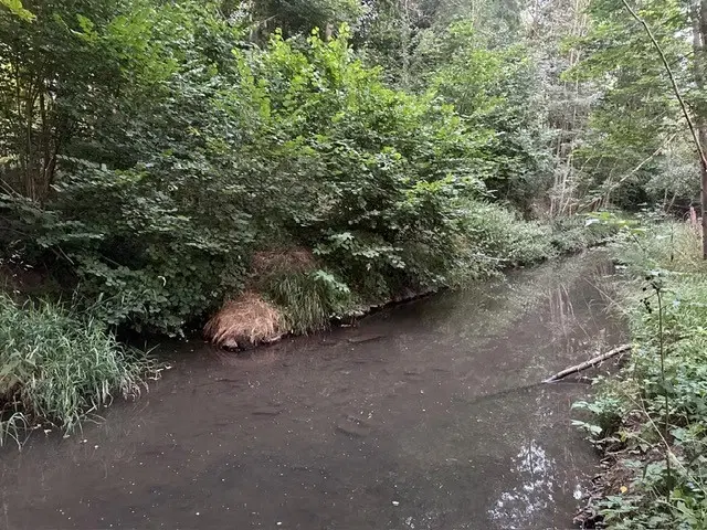3.076 m² eigendomsperceel nabij Eischleben, Thüringen - Duitsland