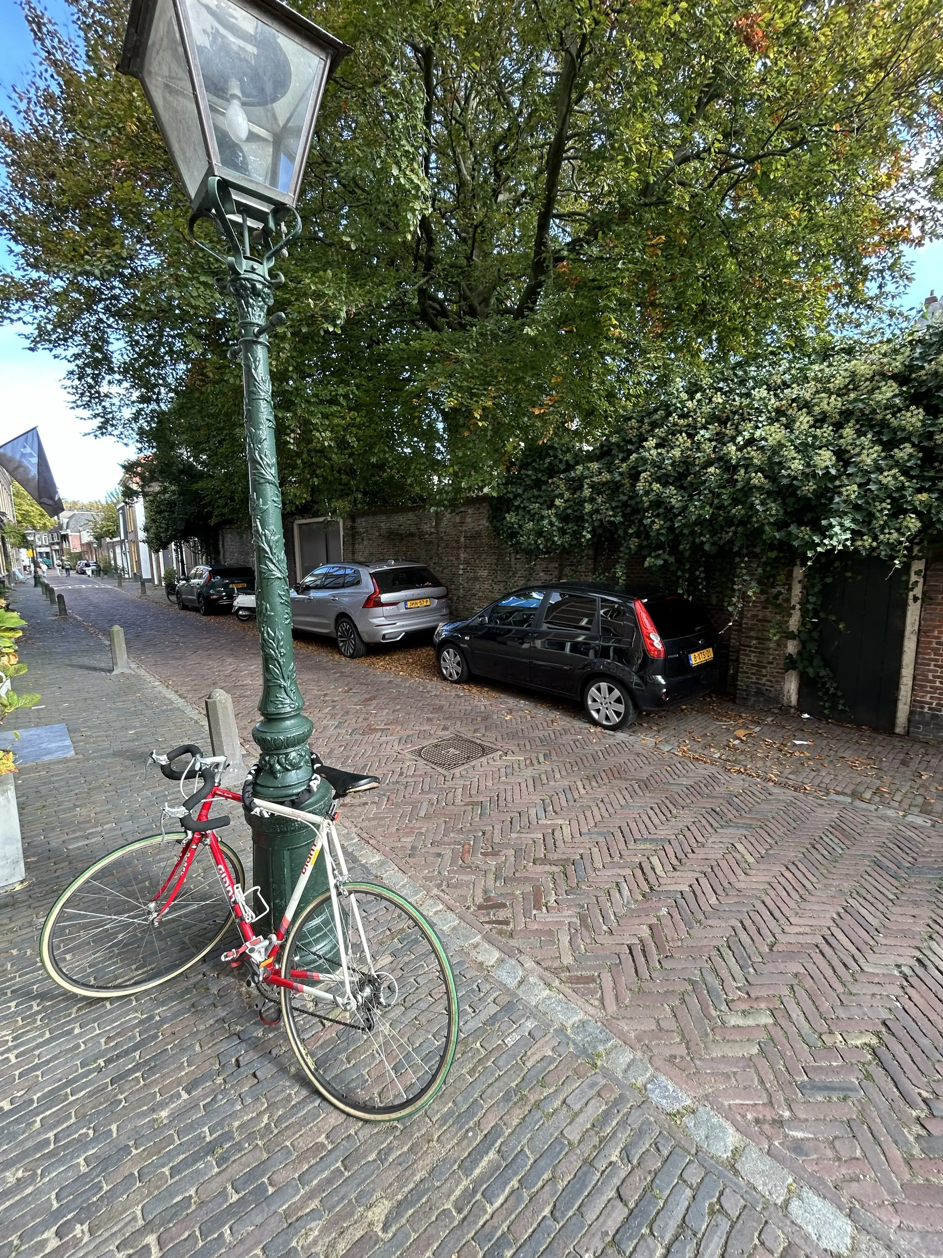 Leiden, Hooigracht 50 50A, 50B en 50C