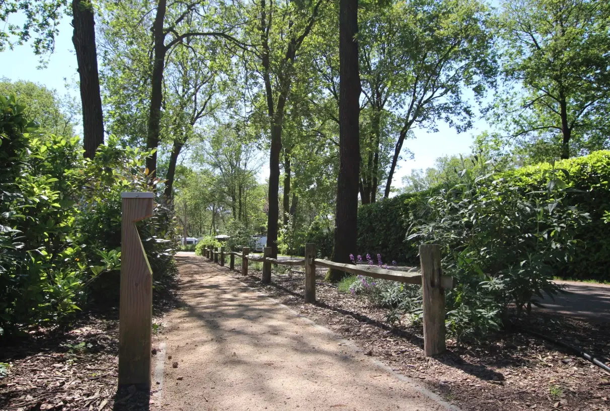 20 percelen grond gelegen op Resort De Heimolen te Baarle-Nassau