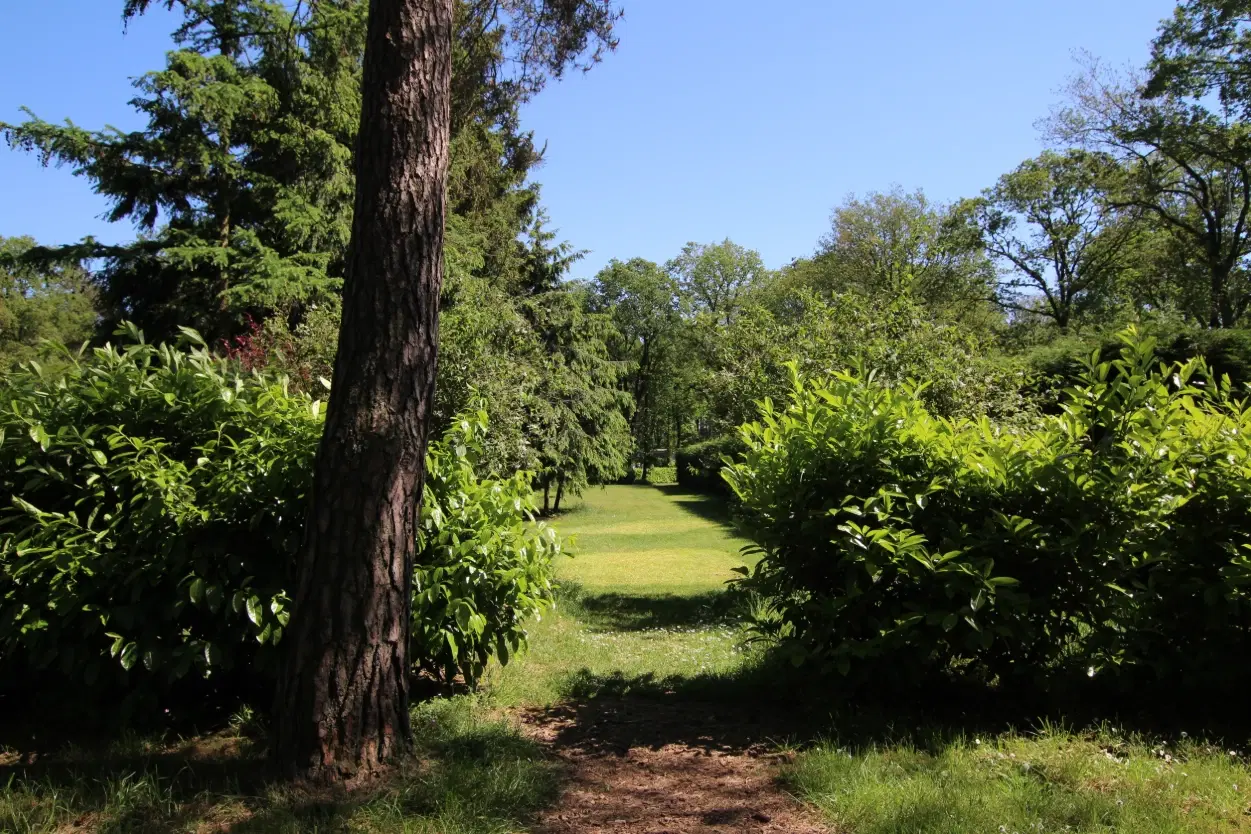 20 percelen grond gelegen op Resort De Heimolen te Baarle-Nassau