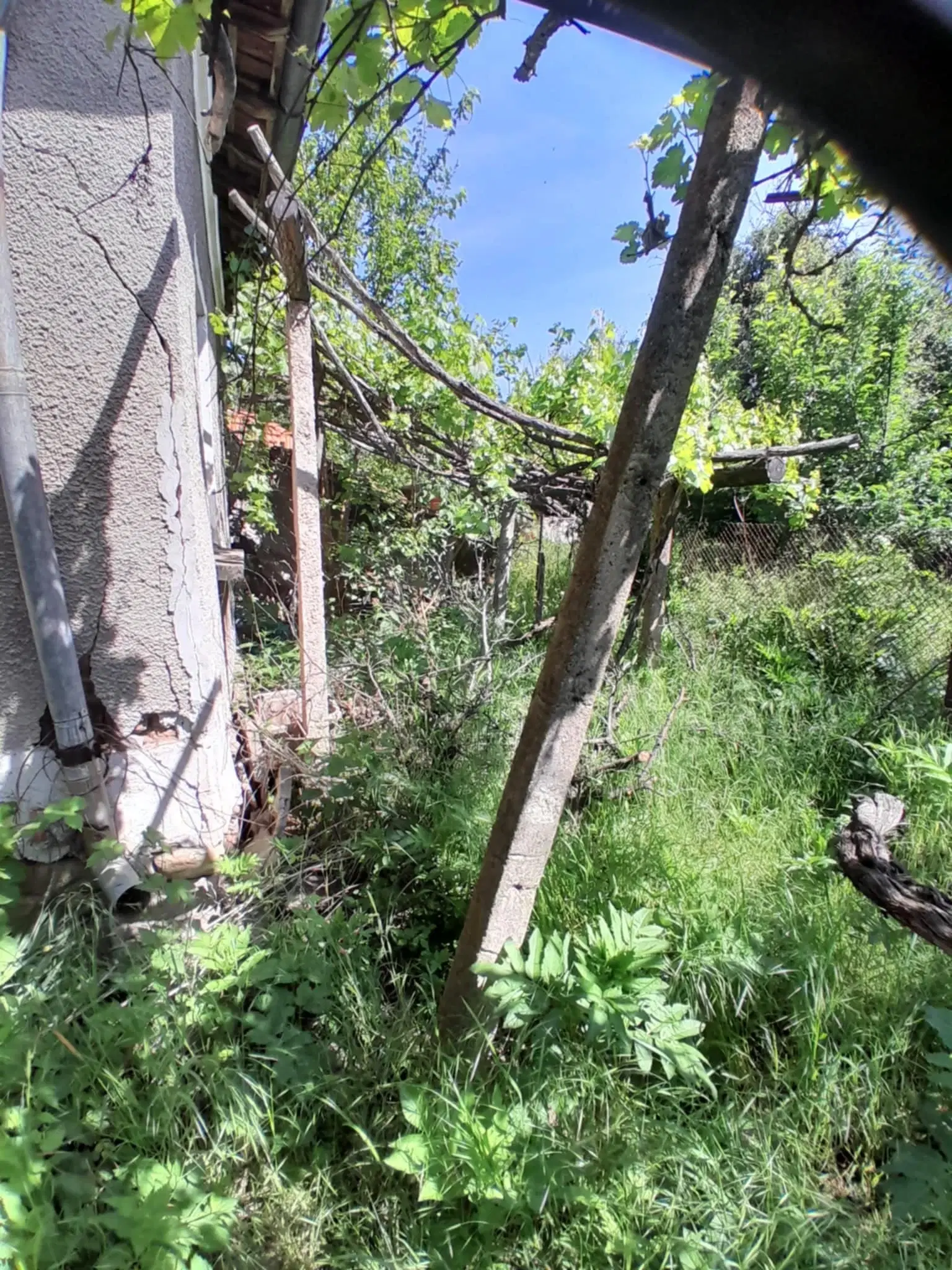 2 huizen op 2.480 m² land en bijgebouwen in Rakovitsa, Vidin - Bulgarije