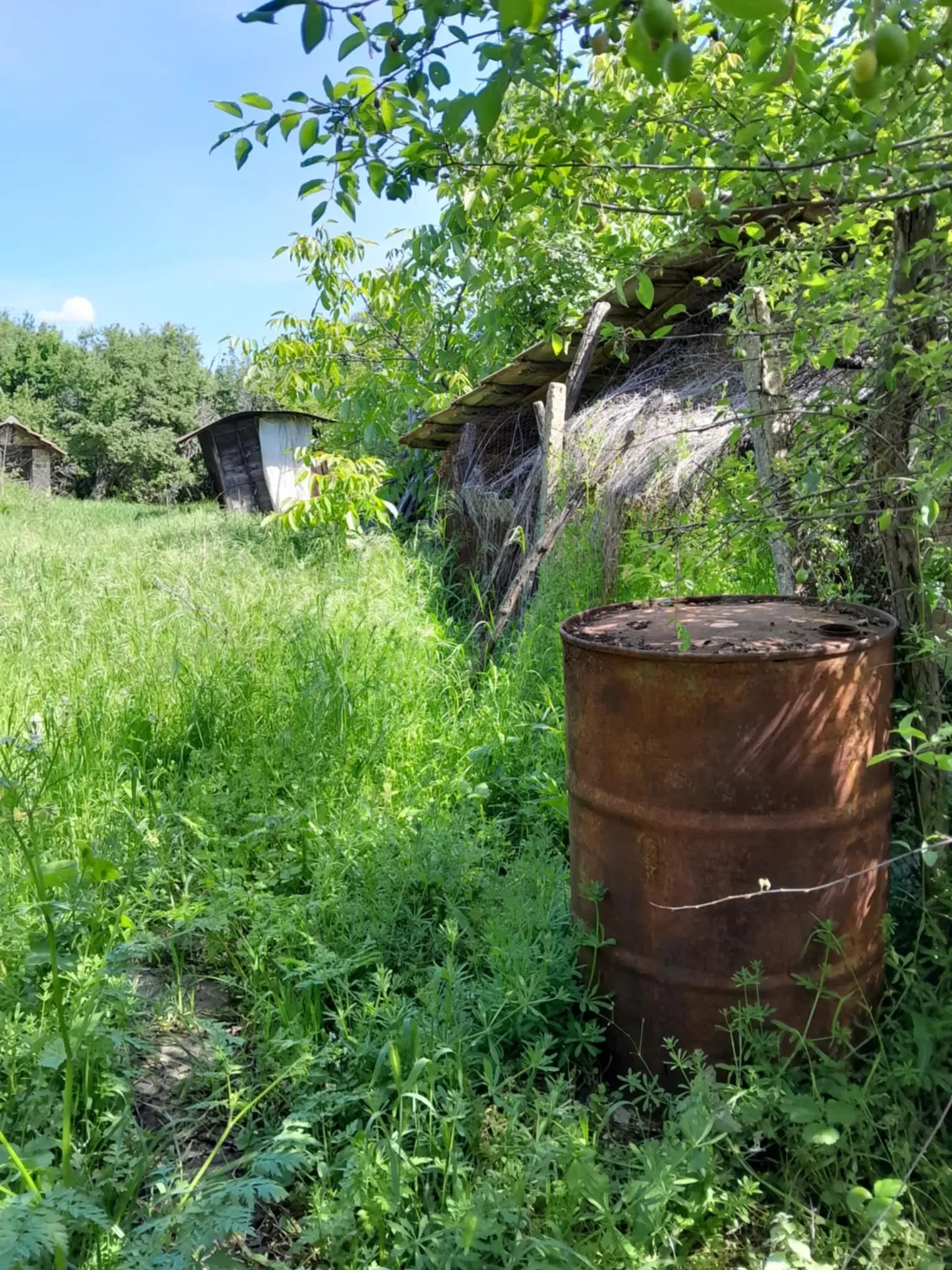 2 huizen op 2.480 m² land en bijgebouwen in Rakovitsa, Vidin - Bulgarije