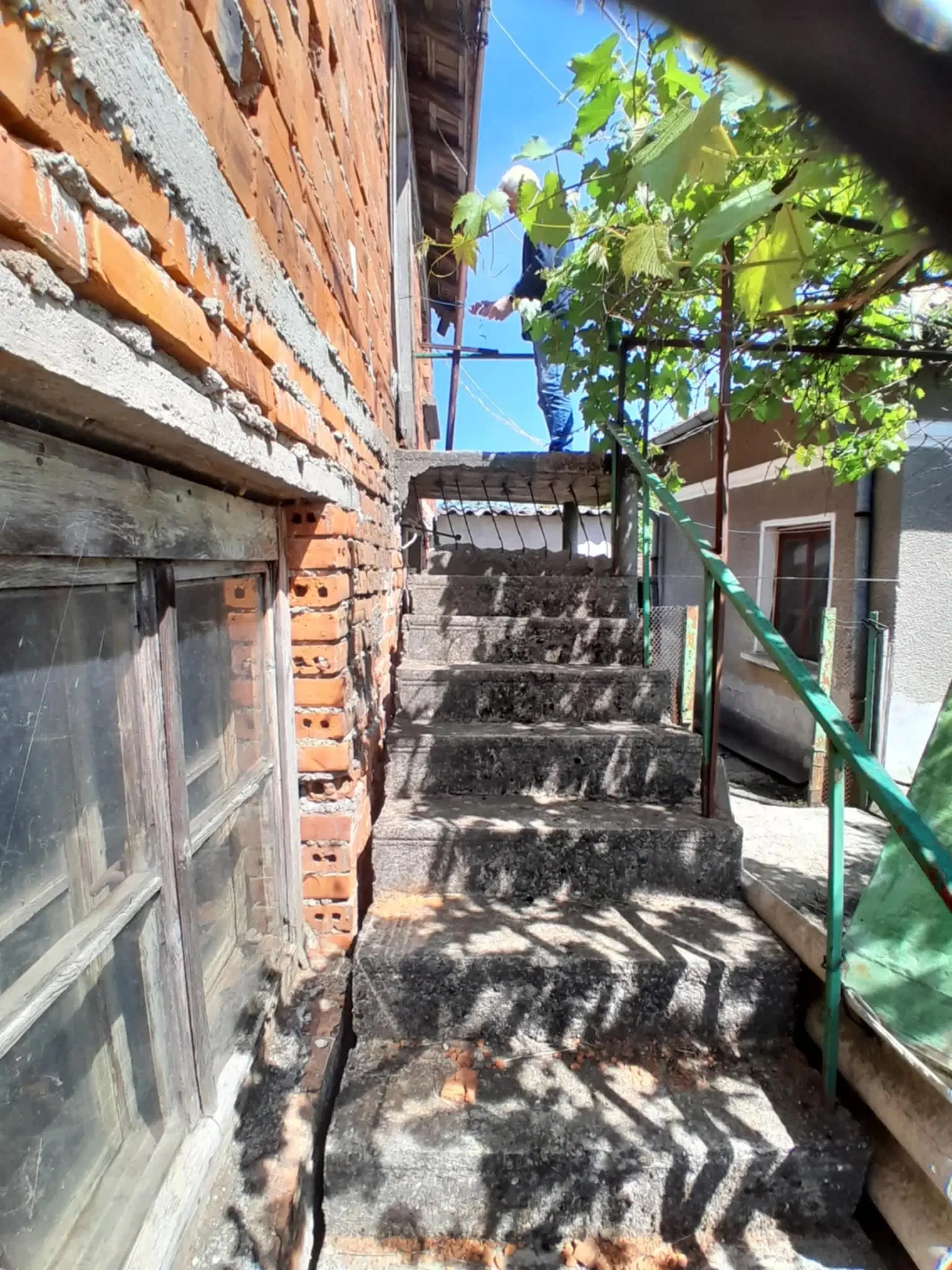 2 huizen op 2.480 m² land en bijgebouwen in Rakovitsa, Vidin - Bulgarije