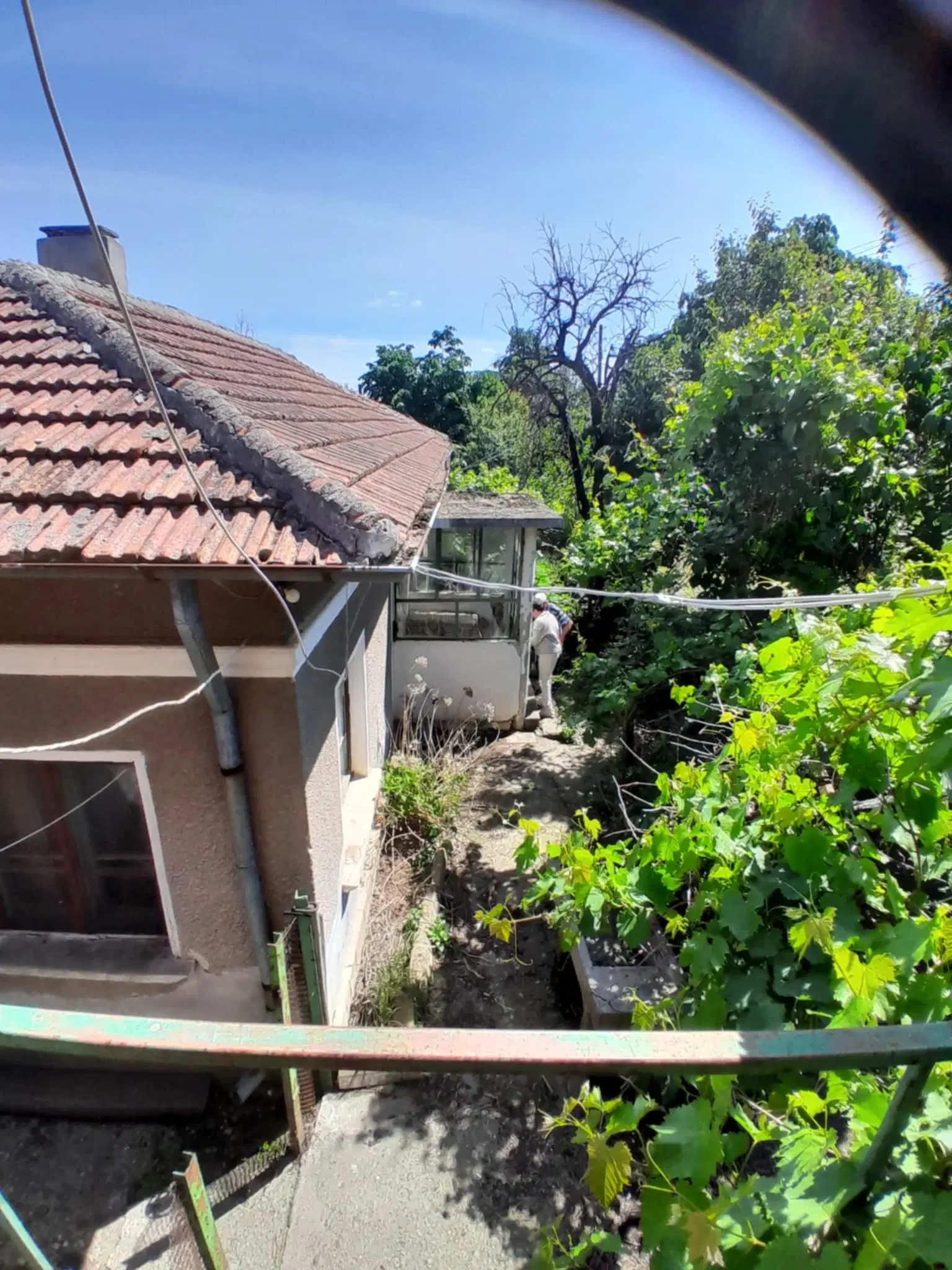 2 huizen op 2.480 m² land en bijgebouwen in Rakovitsa, Vidin - Bulgarije