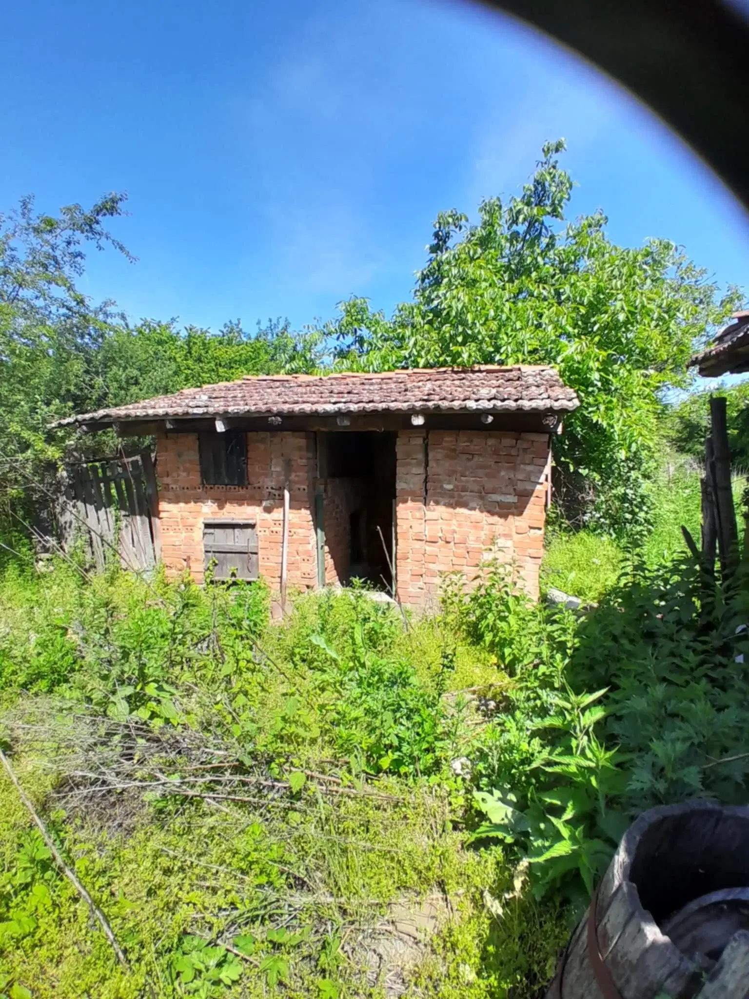 2 huizen op 2.480 m² land en bijgebouwen in Rakovitsa, Vidin - Bulgarije