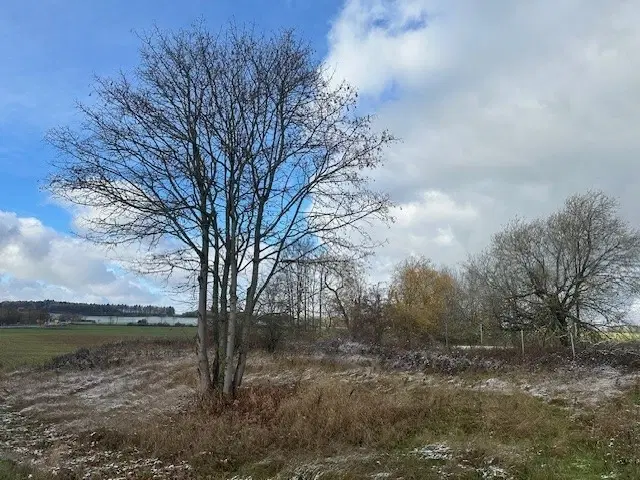 Eigendomsperceel van ca. 4.400 m² in Korbach, Winterberg - Duitsland