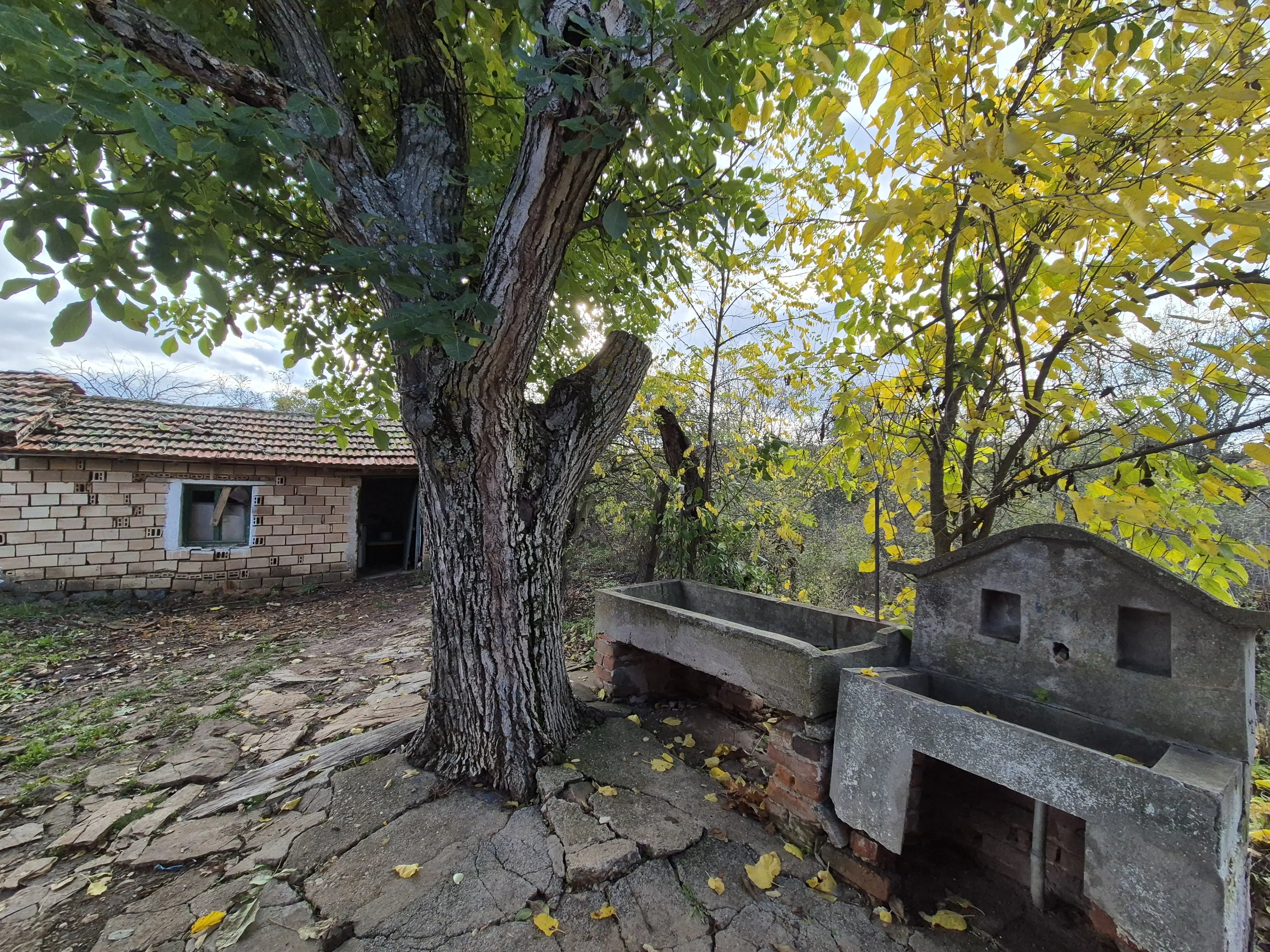 Huis en bijgebouw op ca. 1.000 m² gemeentelijke grond in Razdel - Bulgarije