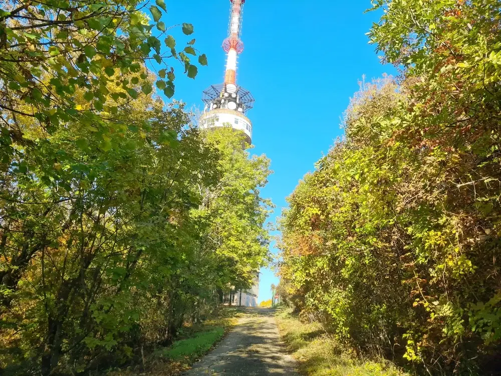 6.513 m² bosgrond in de regio Belogradchik - Bulgarije
