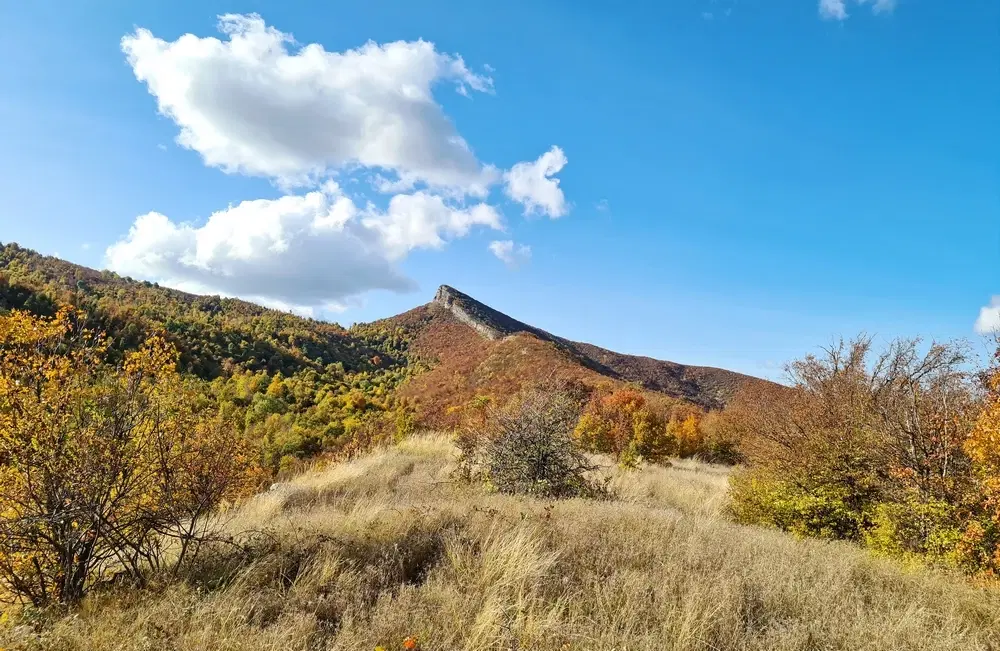 6.513 m² bosgrond in de regio Belogradchik - Bulgarije