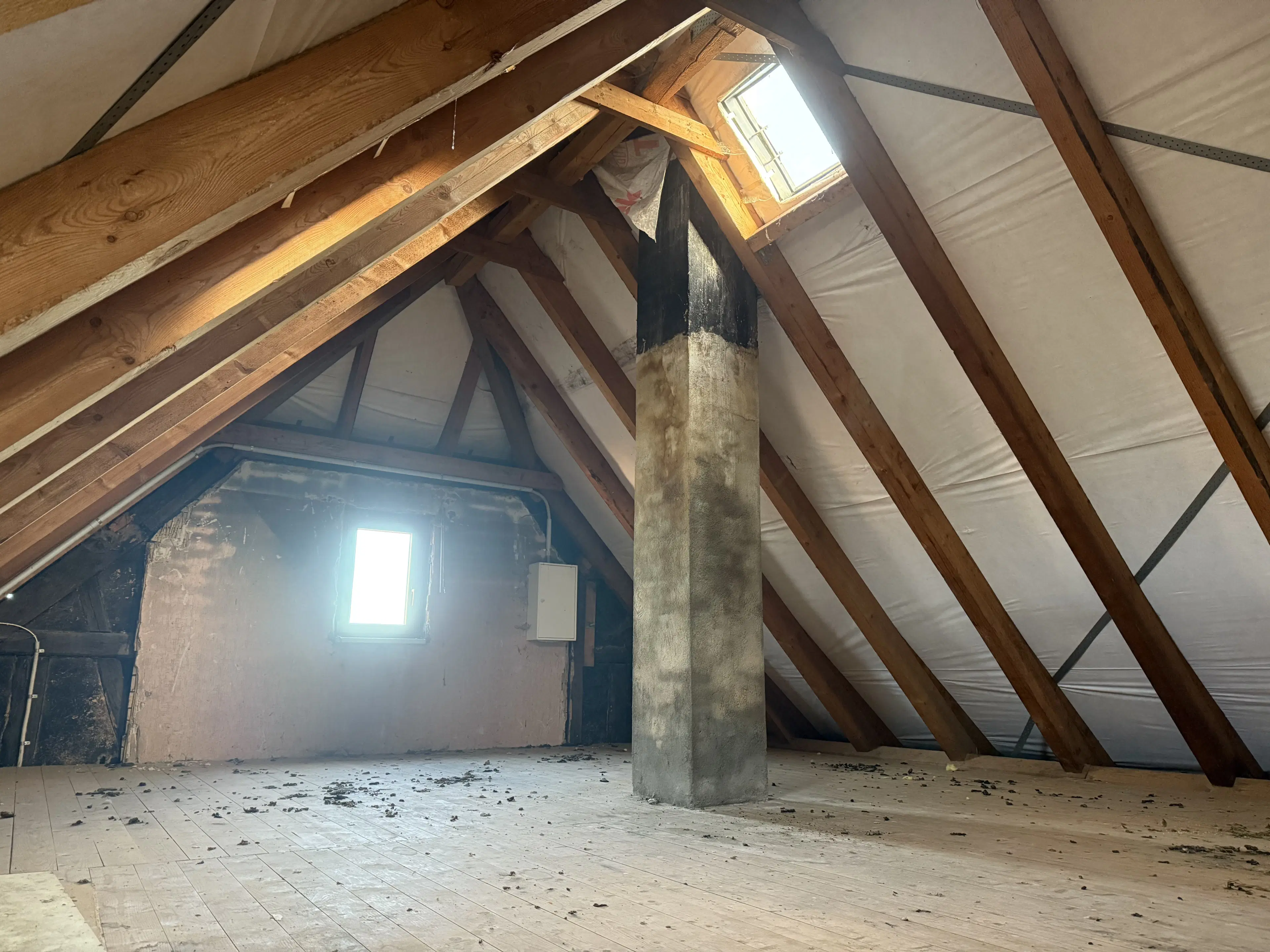 Idyllisch 4-zijdig landgoed op perceel van 3.451 m² in Heinsdorfergrund - Duitsland