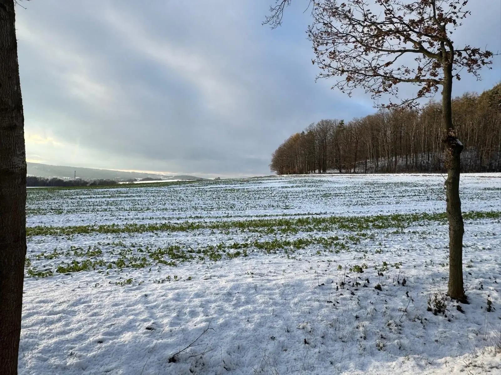 B&B en 2 woningen op het National park Sächsische Schweiz, Saksen - Duitsland