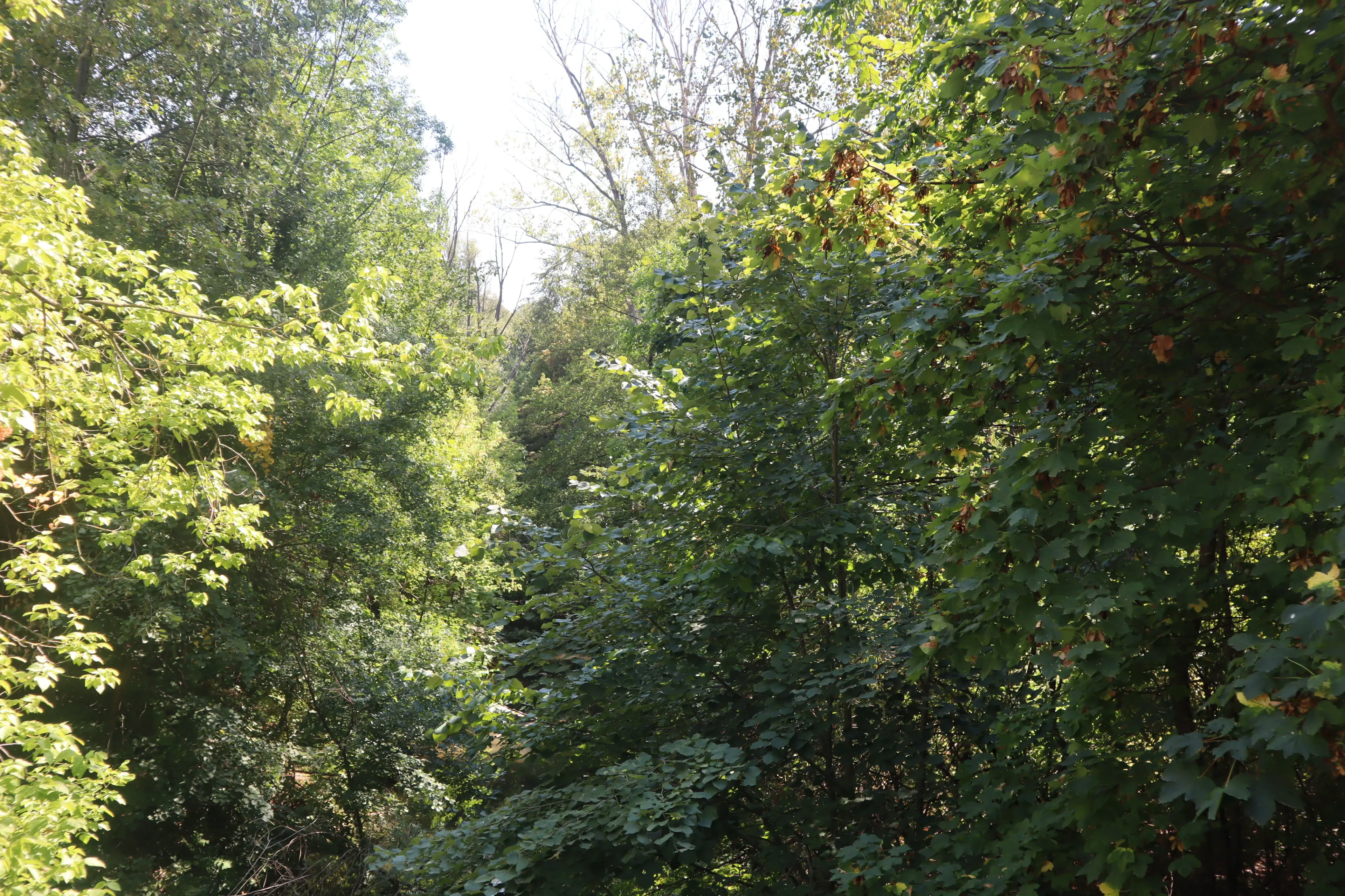 Bosgrond 30.194 m² - Investering & Natuurverblijf, Regio Troyan - Bulgarije