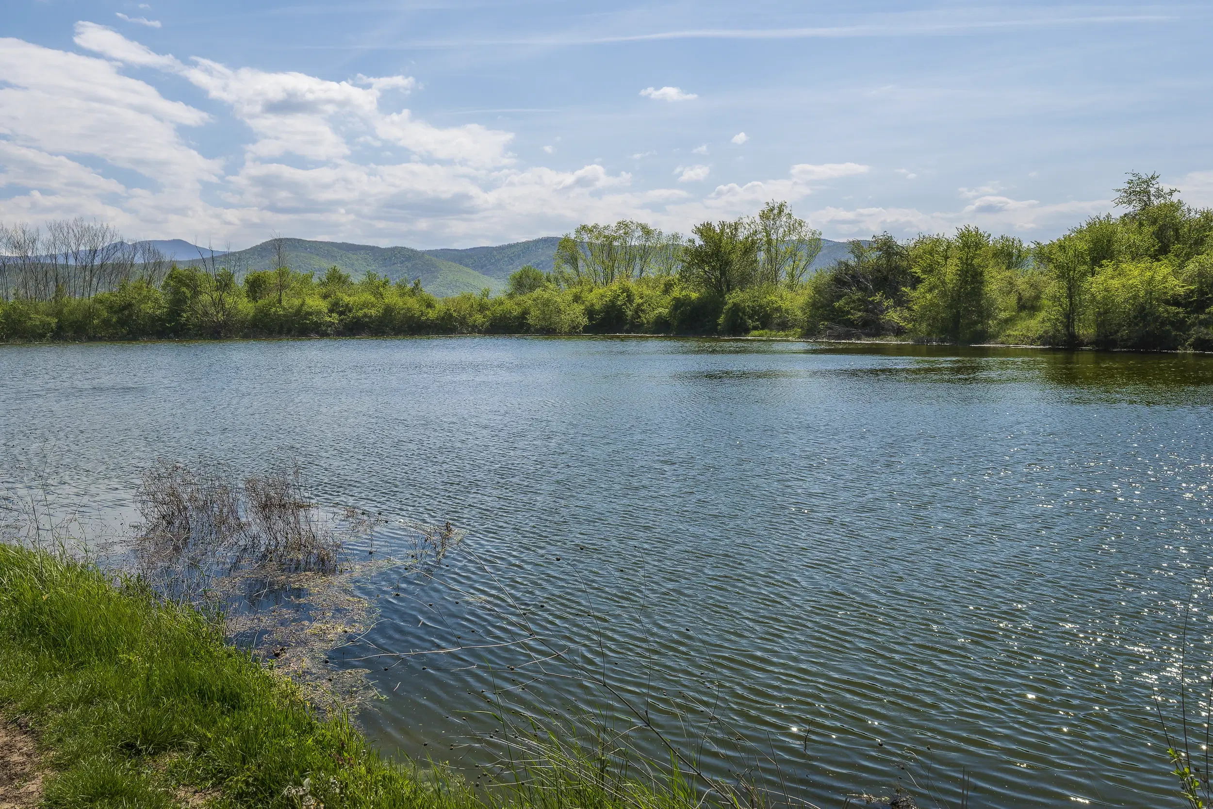 Perceel van 1.364 m² met gezinswoning en bijgebouwen in Damyanovo, Gabrovo - Bulgarije
