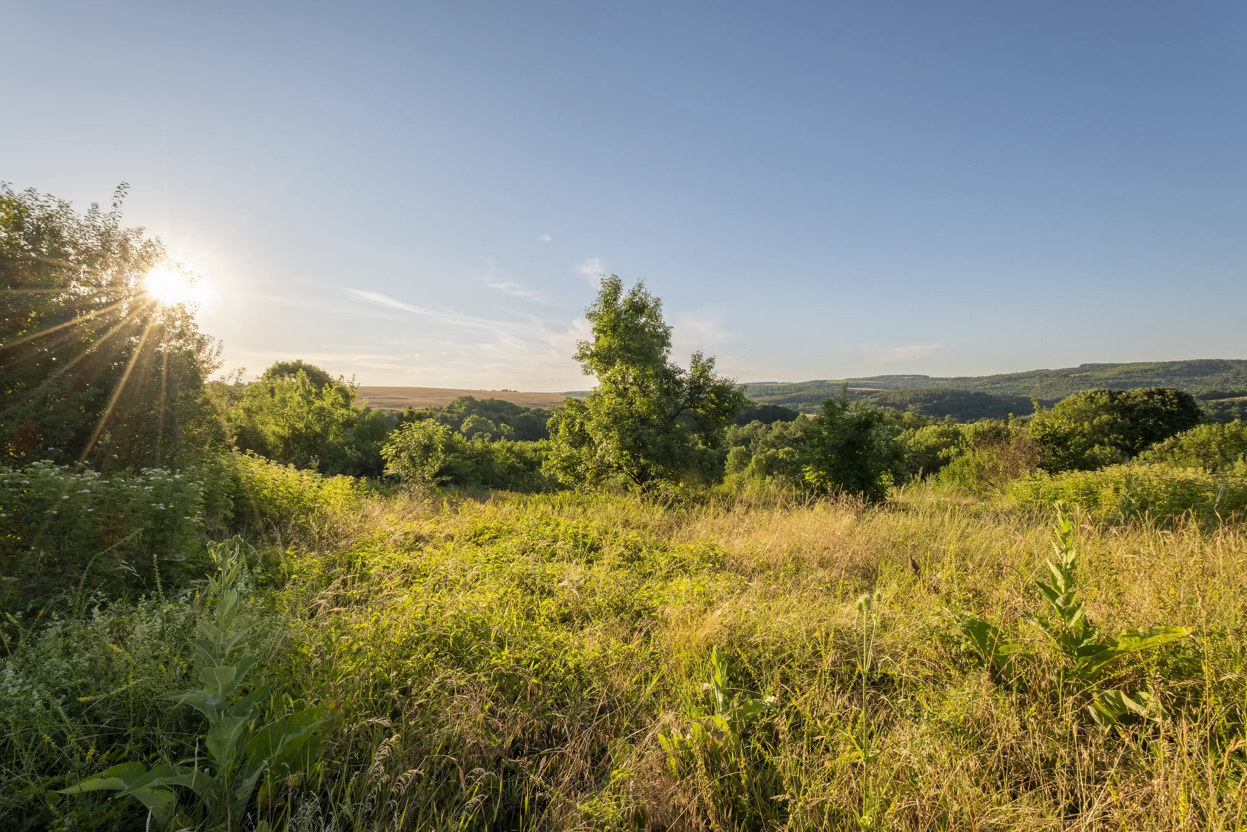 Perceel van 7.857 m² met 2-verdiepingen gezinswoning en bijgebouwen, met uitzicht nabij Veliko Tarnovo - Bulgarije