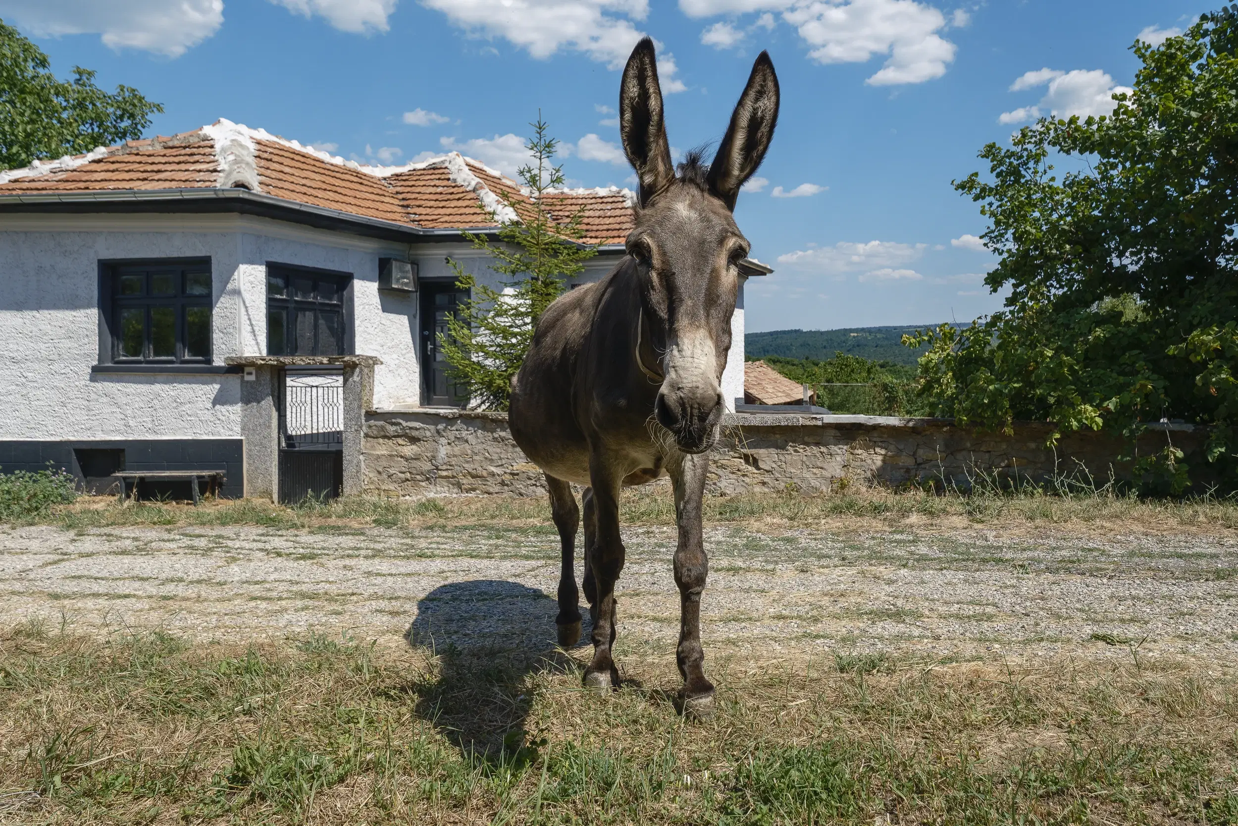 Perceel van 7.857 m² met 2-verdiepingen gezinswoning en bijgebouwen, met uitzicht nabij Veliko Tarnovo - Bulgarije