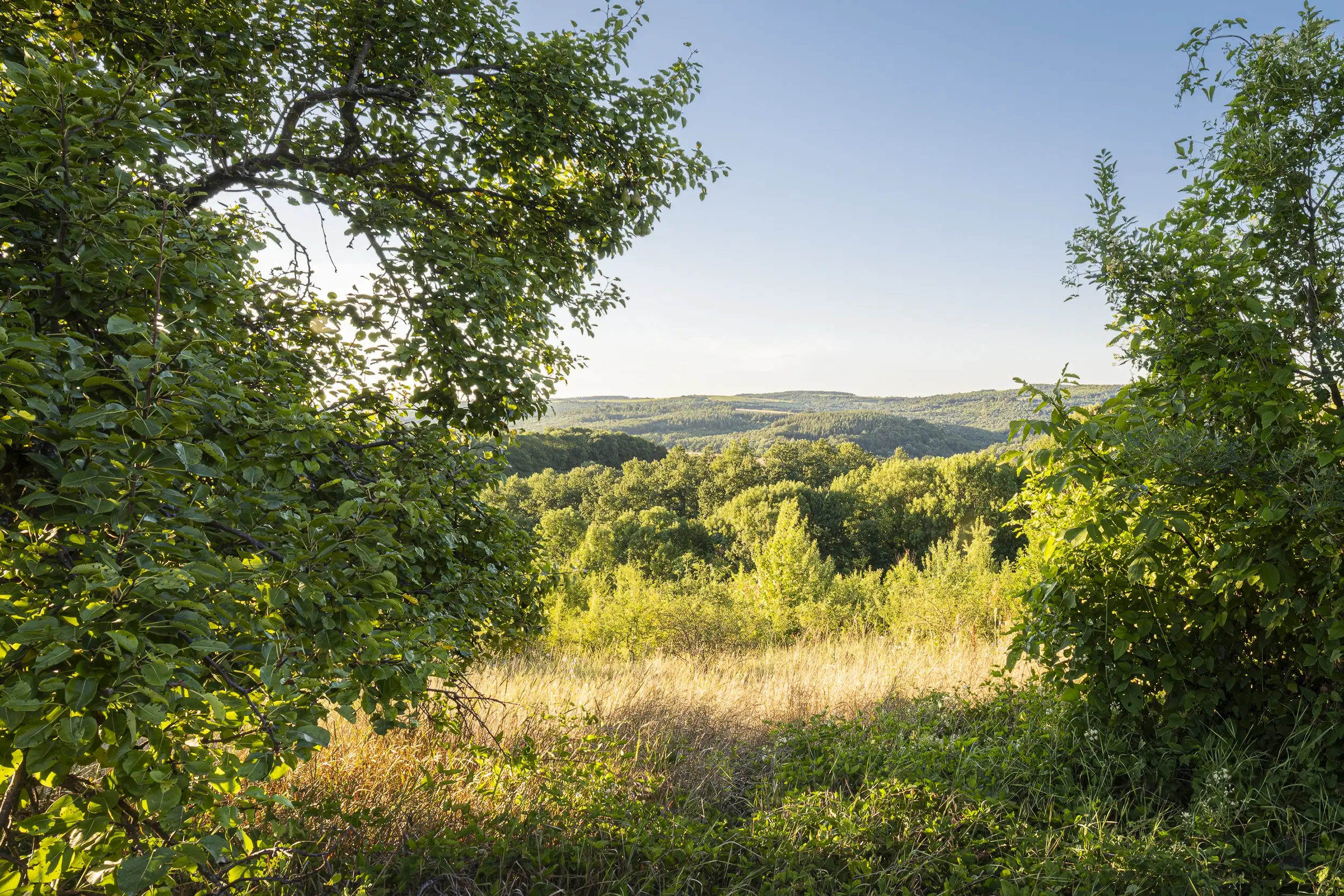 Perceel van 7.857 m² met 2-verdiepingen gezinswoning en bijgebouwen, met uitzicht nabij Veliko Tarnovo - Bulgarije