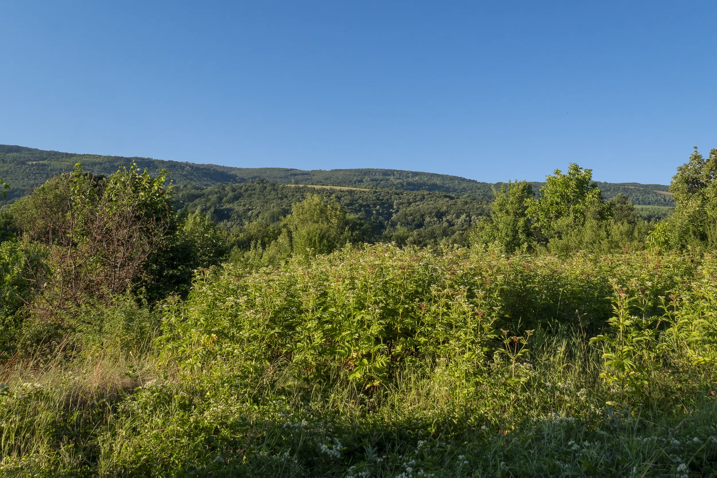 Perceel van 7.857 m² met 2-verdiepingen gezinswoning en bijgebouwen, met uitzicht nabij Veliko Tarnovo - Bulgarije