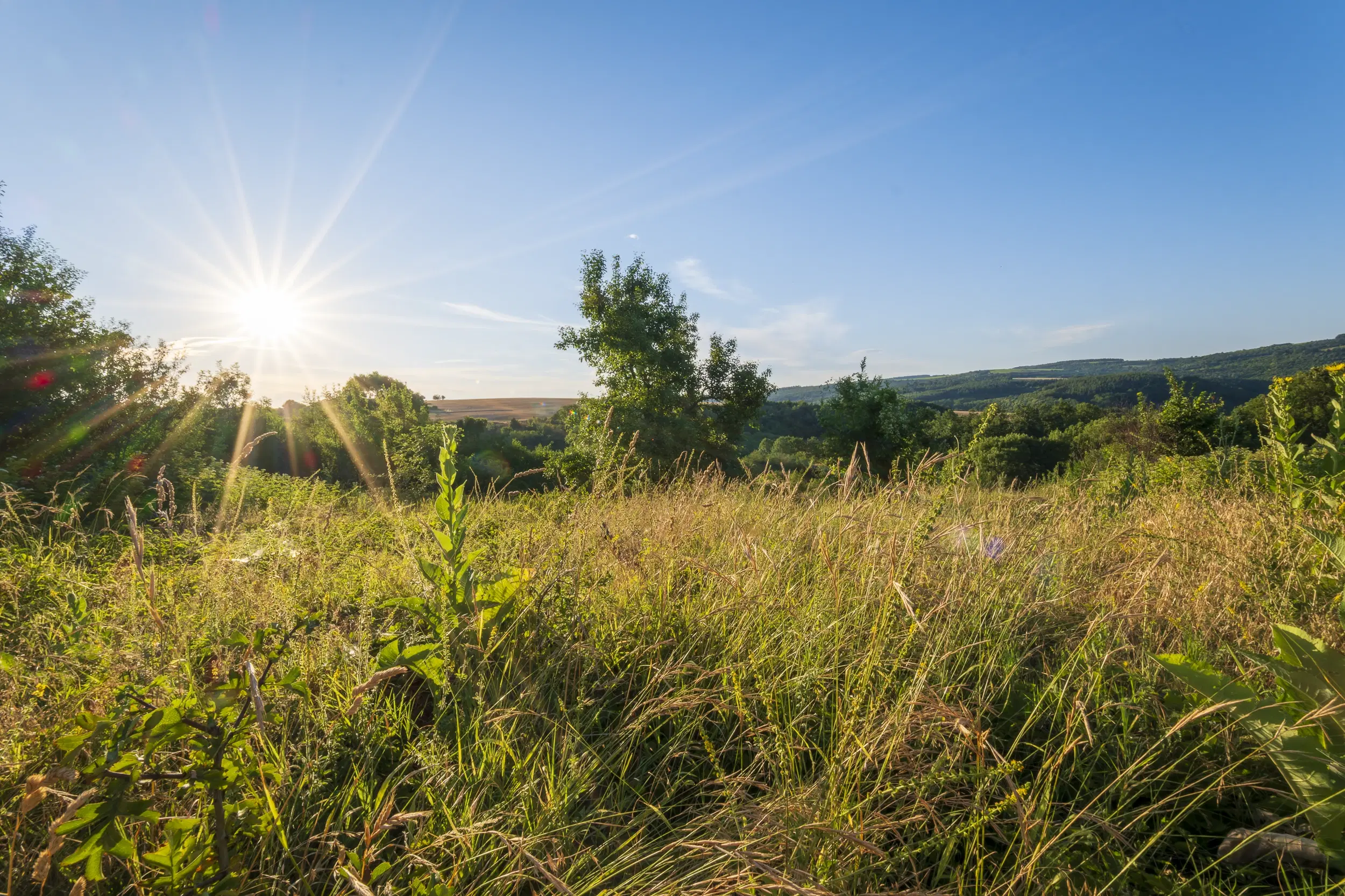 Perceel van 7.857 m² met 2-verdiepingen gezinswoning en bijgebouwen, met uitzicht nabij Veliko Tarnovo - Bulgarije