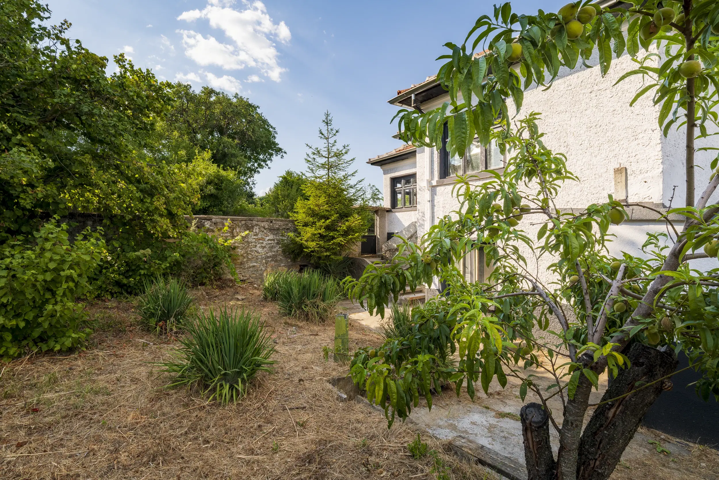 Perceel van 7.857 m² met 2-verdiepingen gezinswoning en bijgebouwen, met uitzicht nabij Veliko Tarnovo - Bulgarije