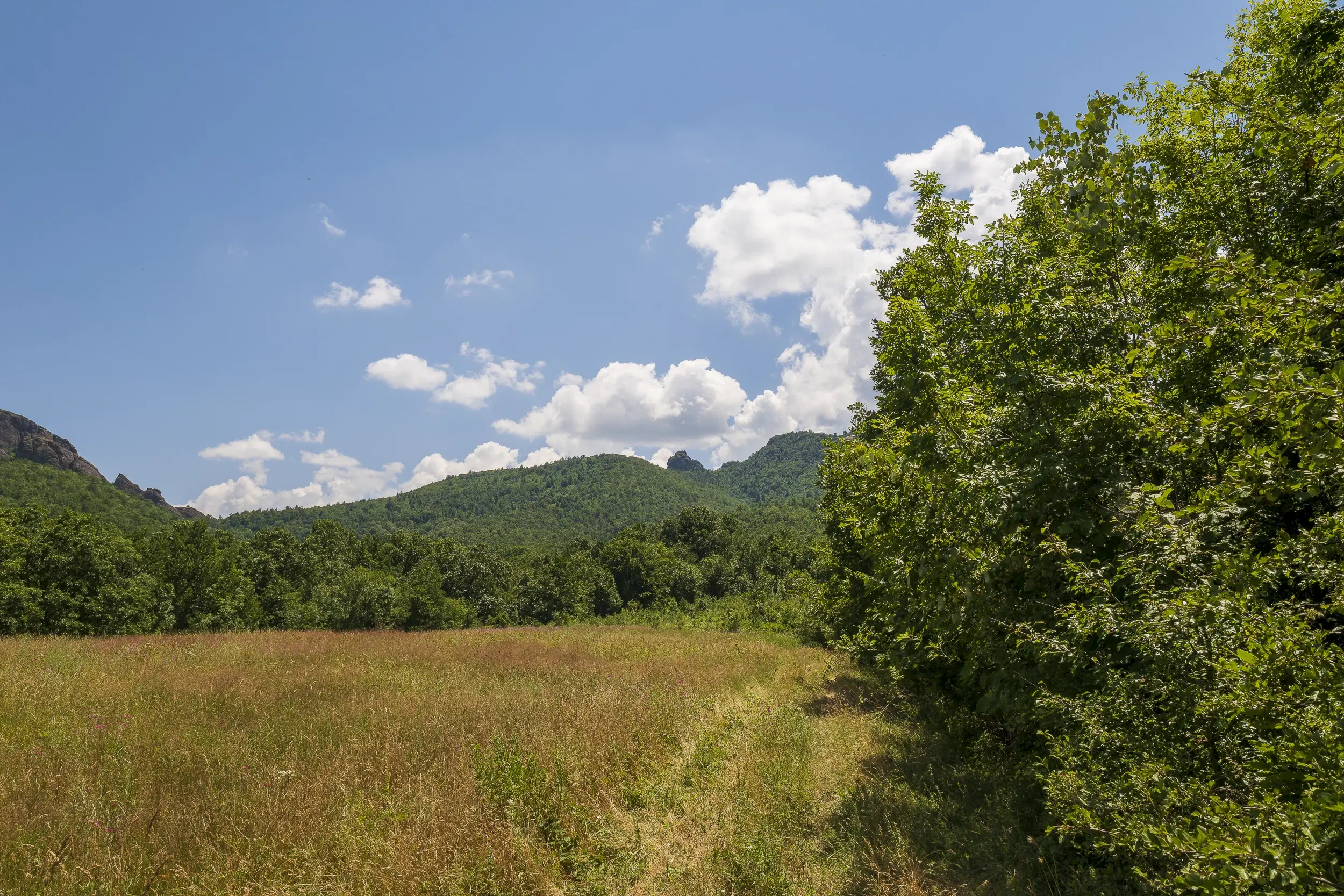 26.802 m² gemengd loofbos in Belogradchik - Bulgarije