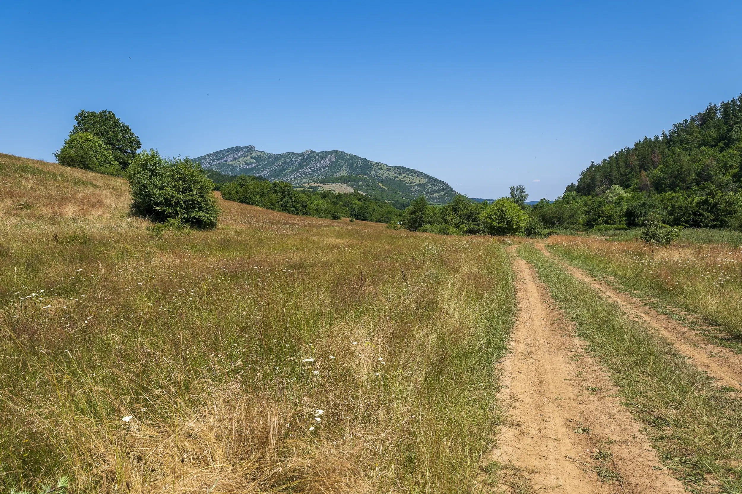 26.802 m² gemengd loofbos in Belogradchik - Bulgarije