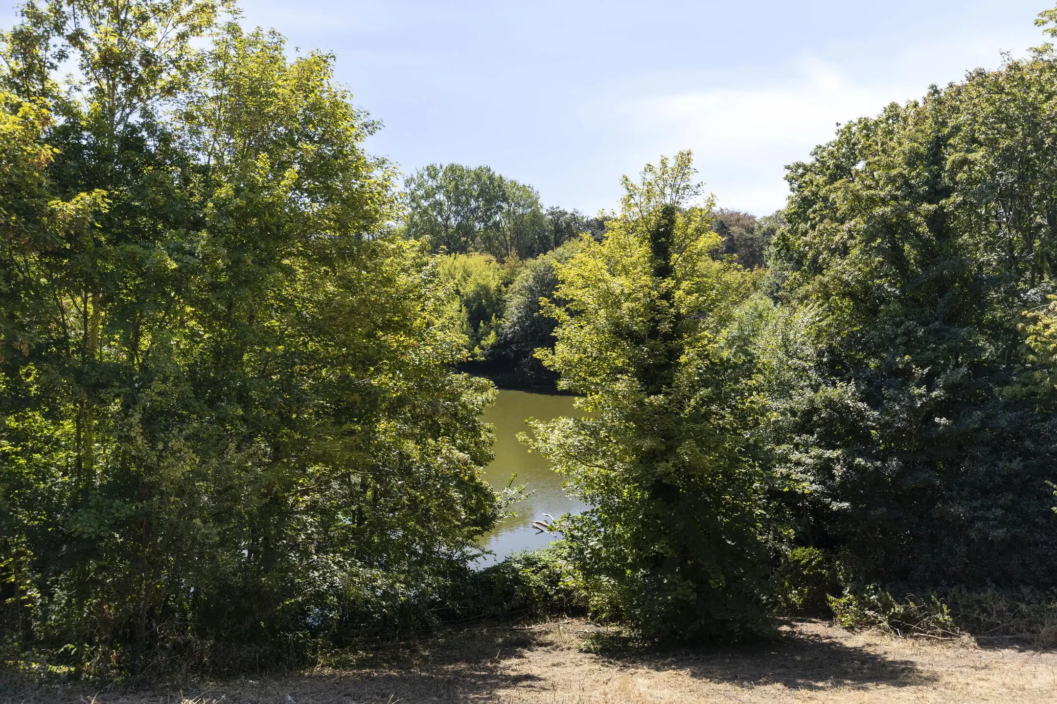 's-Gravenhage, Parkweg 17 N