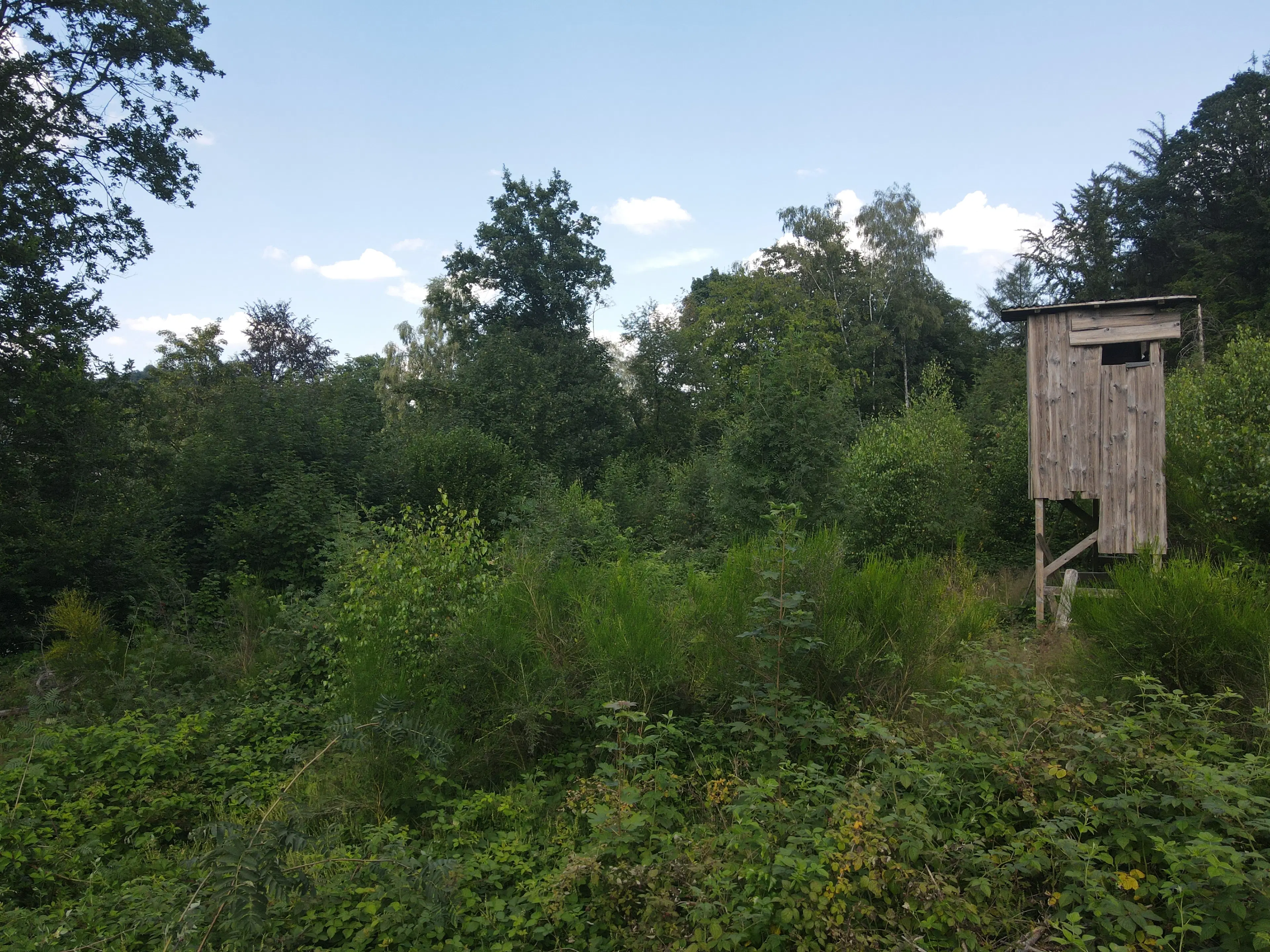 Eigendomsperceel van 701 m² aan de rand van Gummersbach, nabij Winterberg - Duitsland