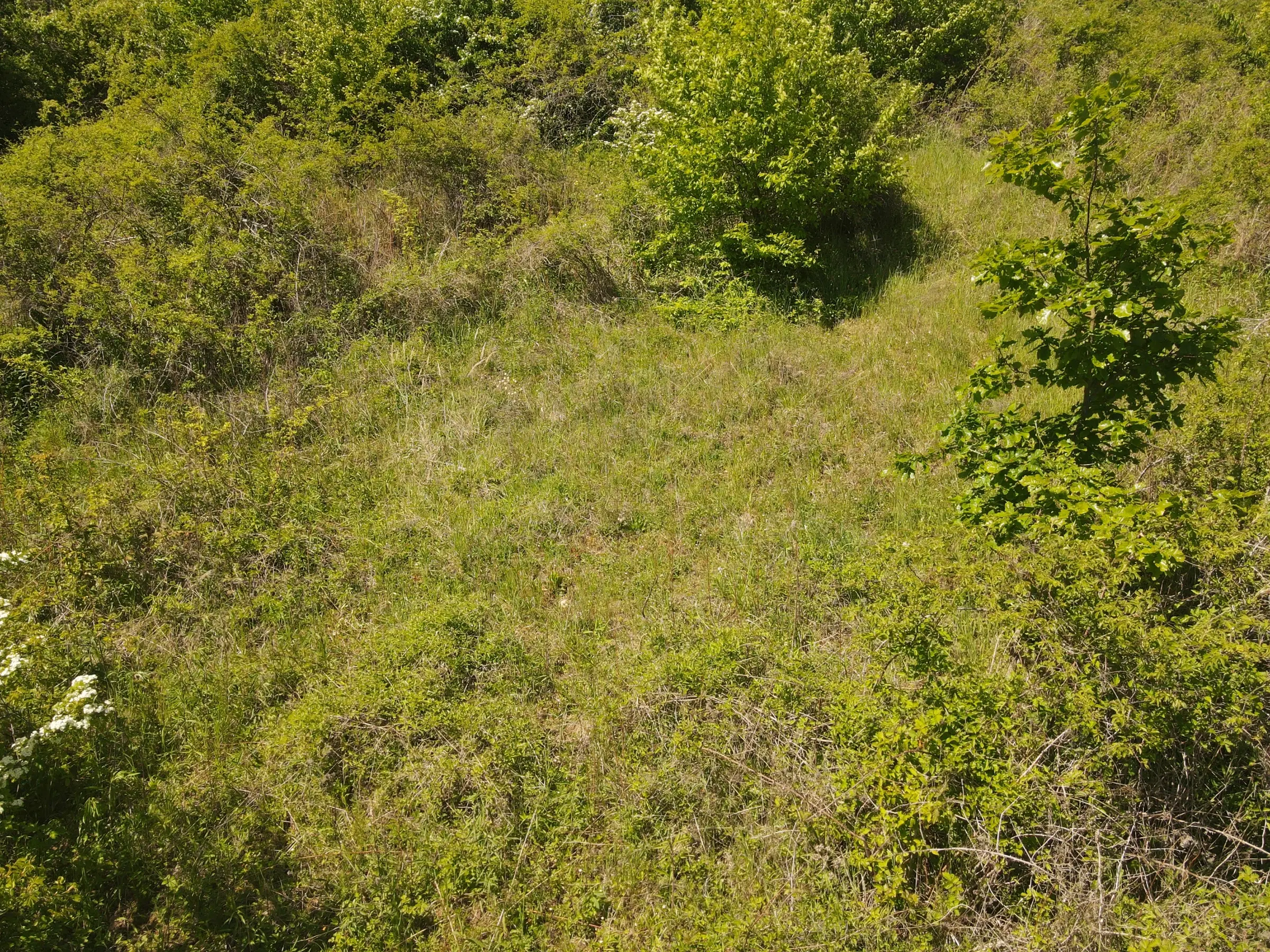 Perceel van 1.679 m² nabij Cochem - Duitsland