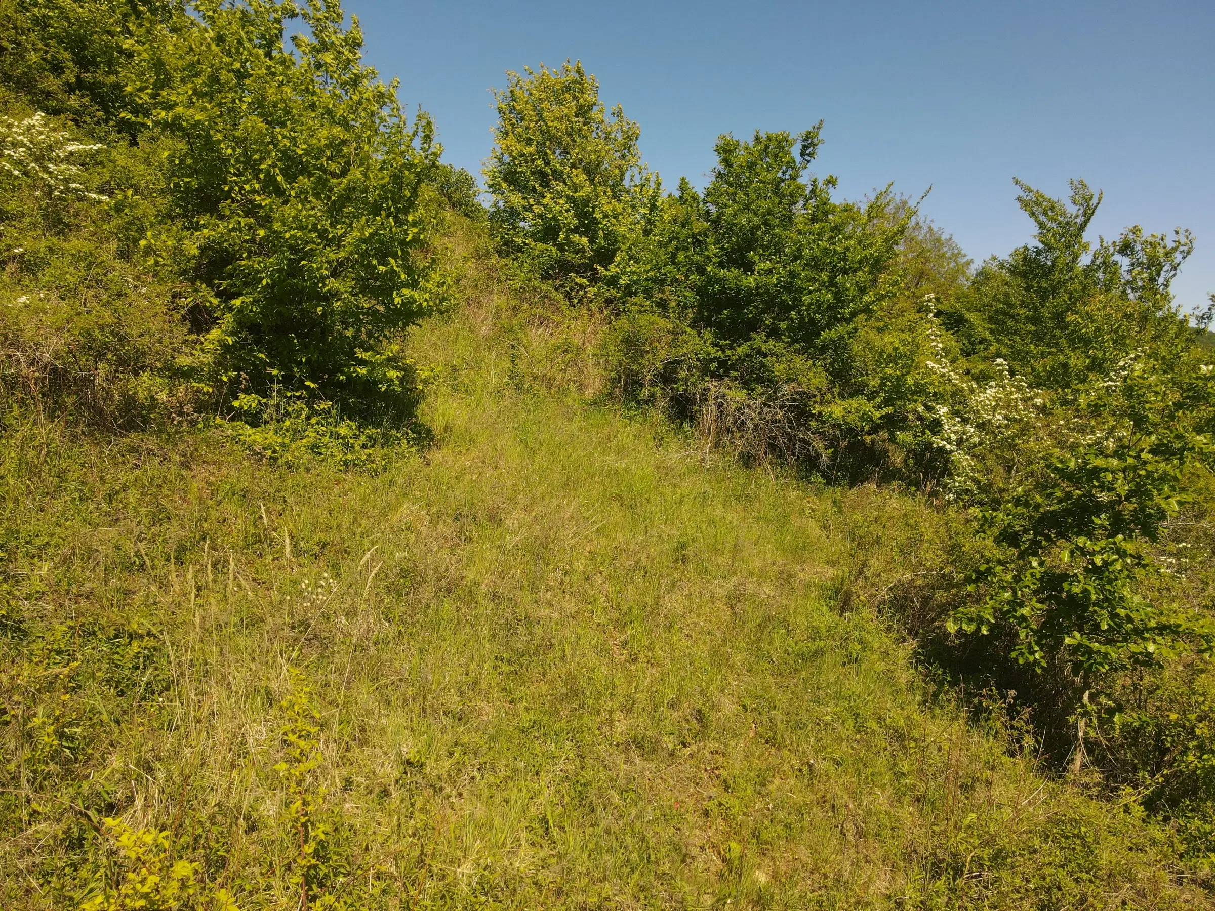 Perceel van 1.679 m² nabij Cochem - Duitsland
