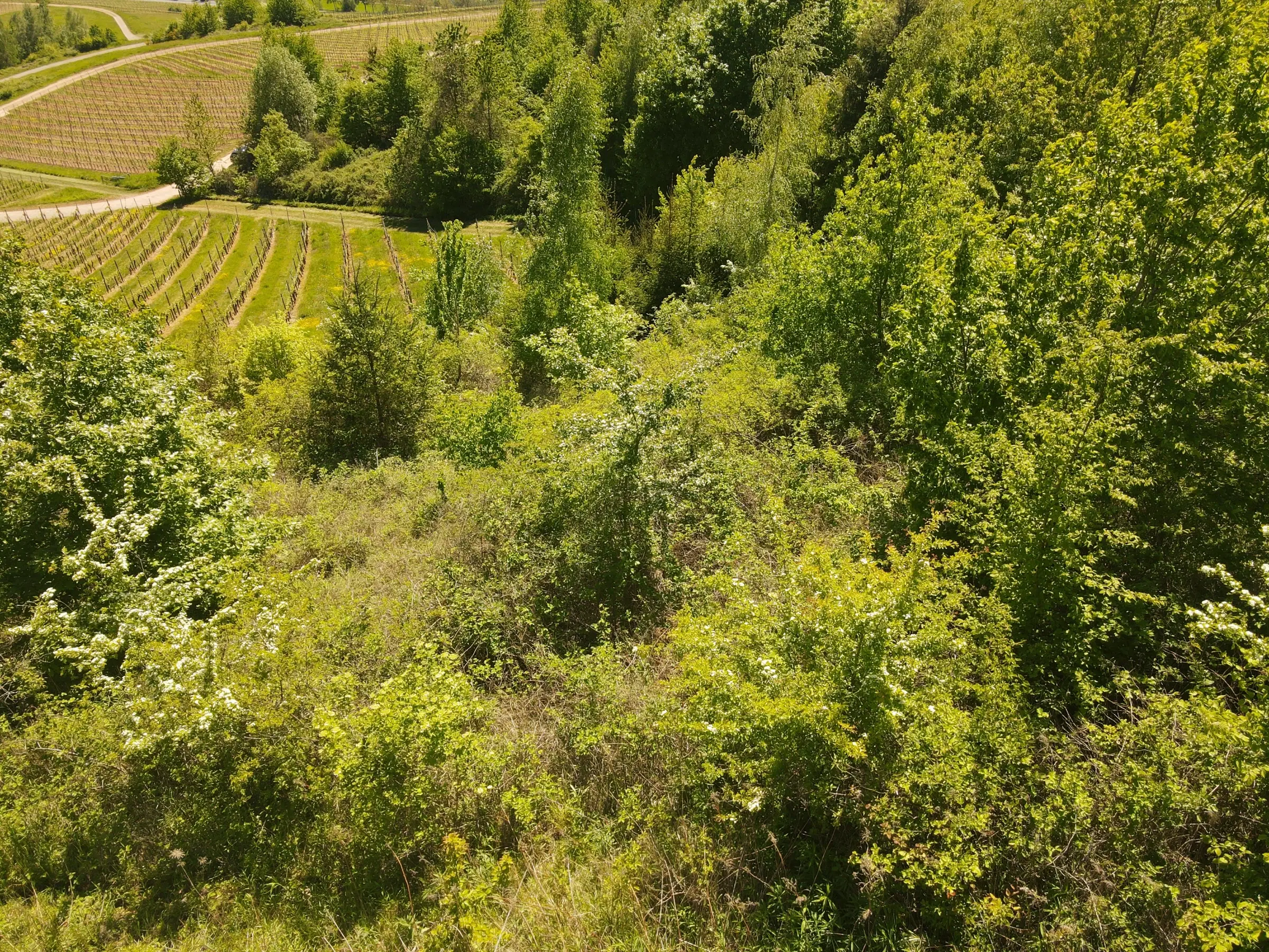 Perceel van 1.679 m² nabij Cochem - Duitsland